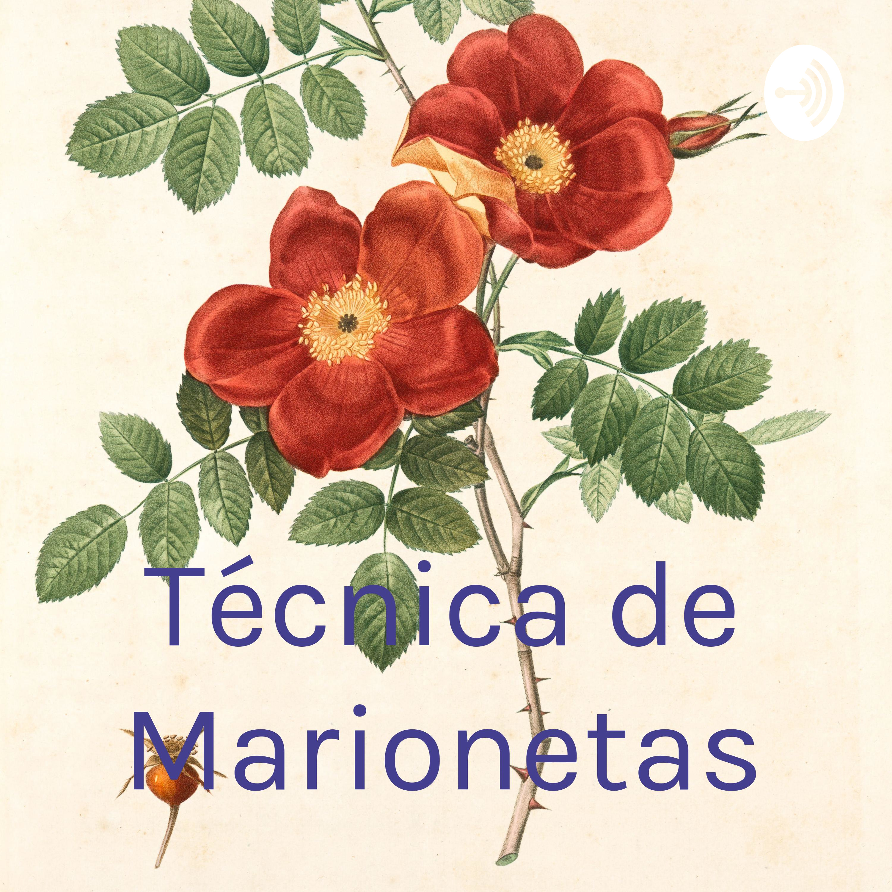 Técnica de Marionetas