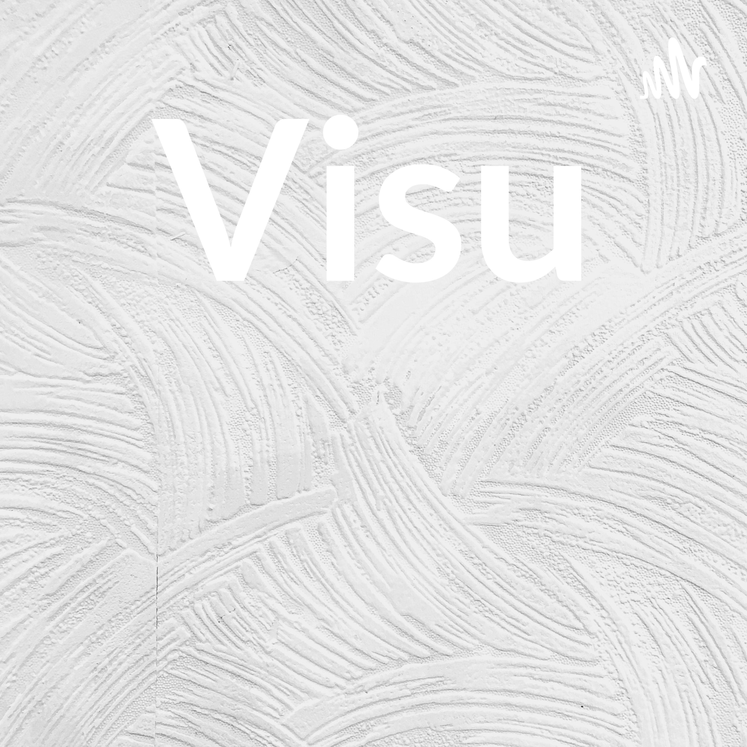 Visu cover art