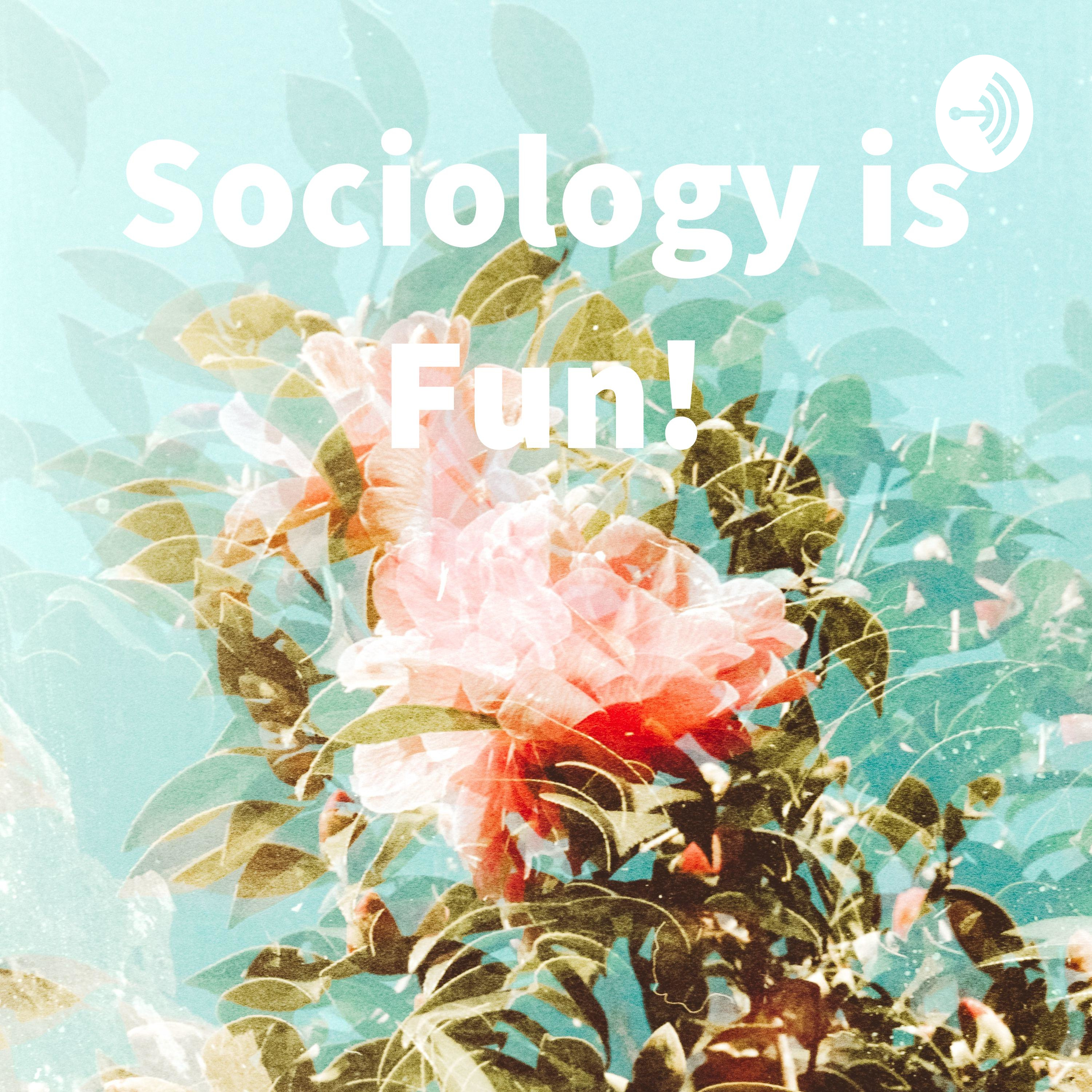 Sociology is Fun!