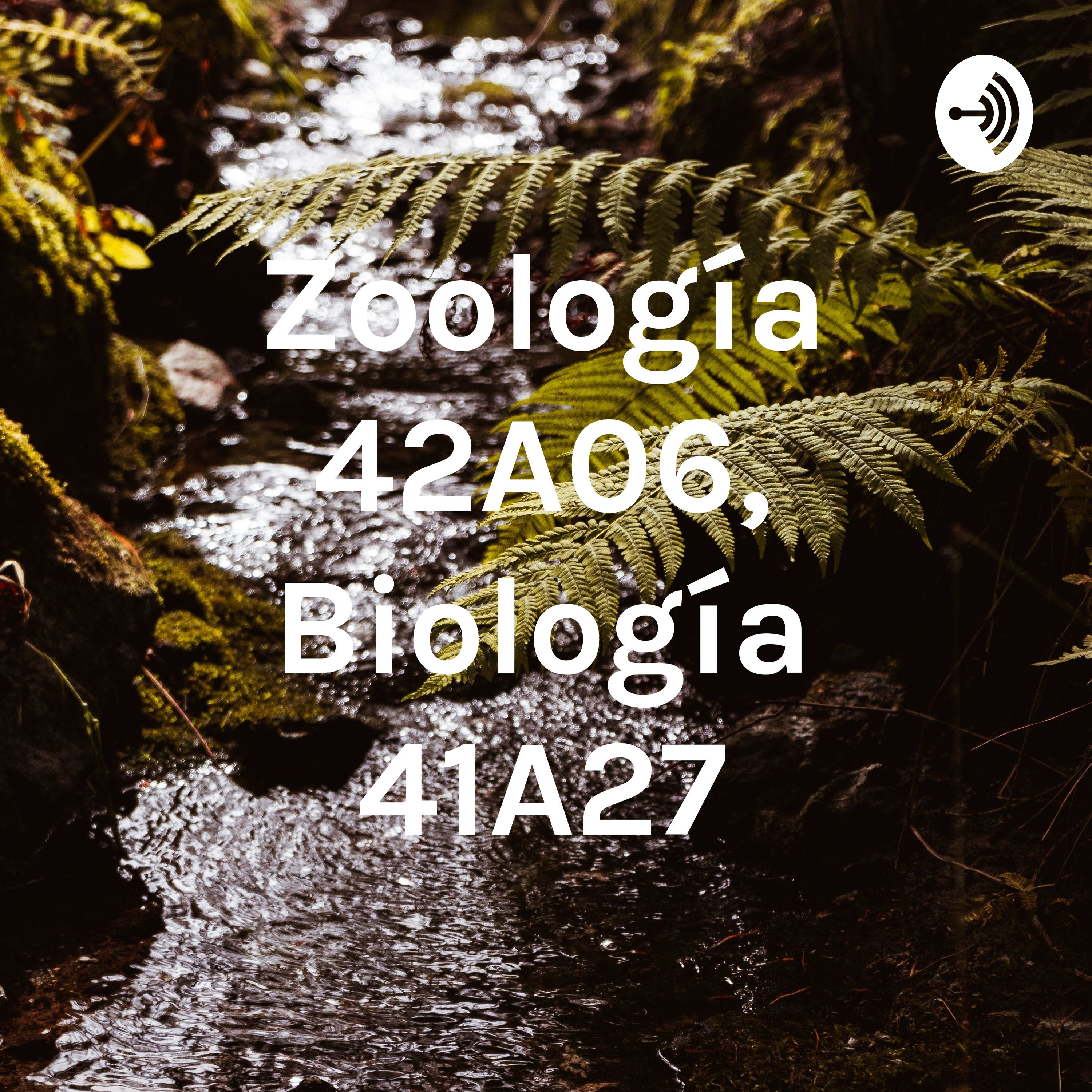 Zoología 42A06, Biología 41A27