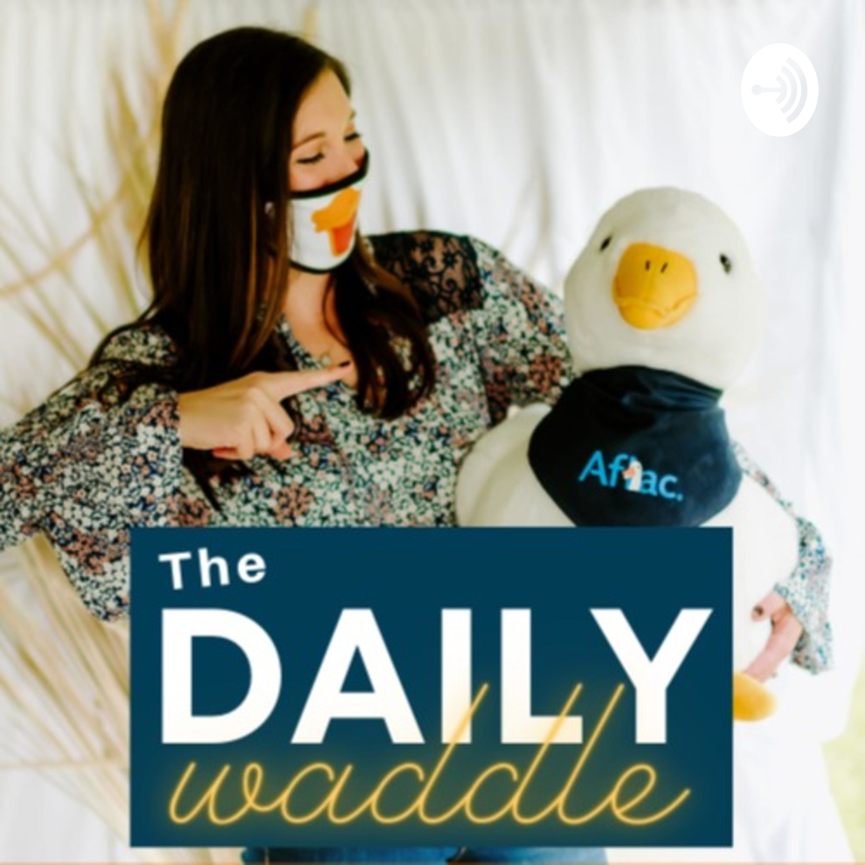 The Daily Waddle