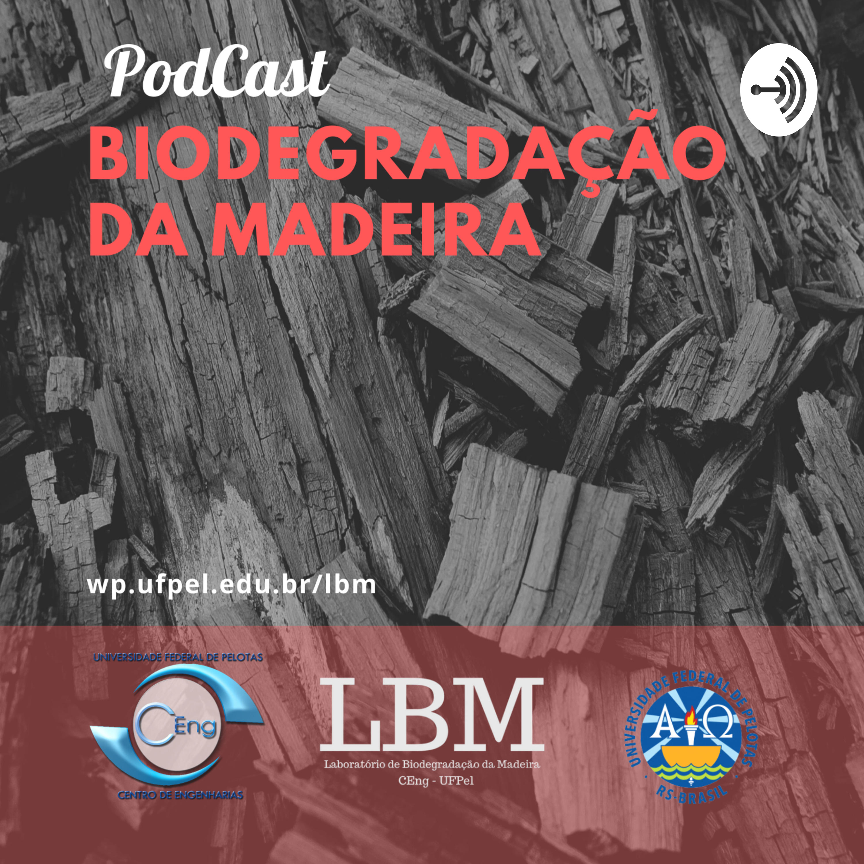 Biodegradação da Madeira