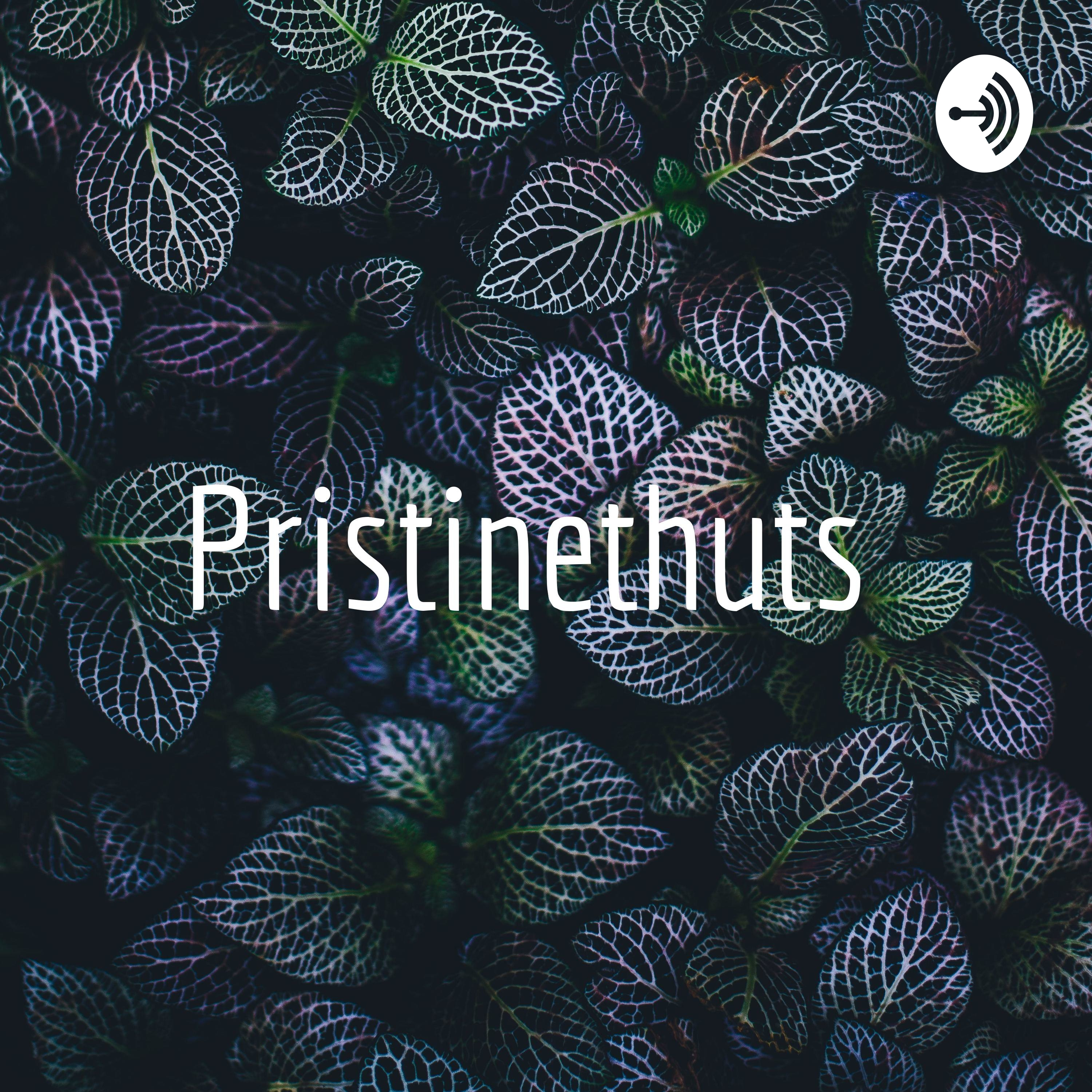 Pristinethuts 
