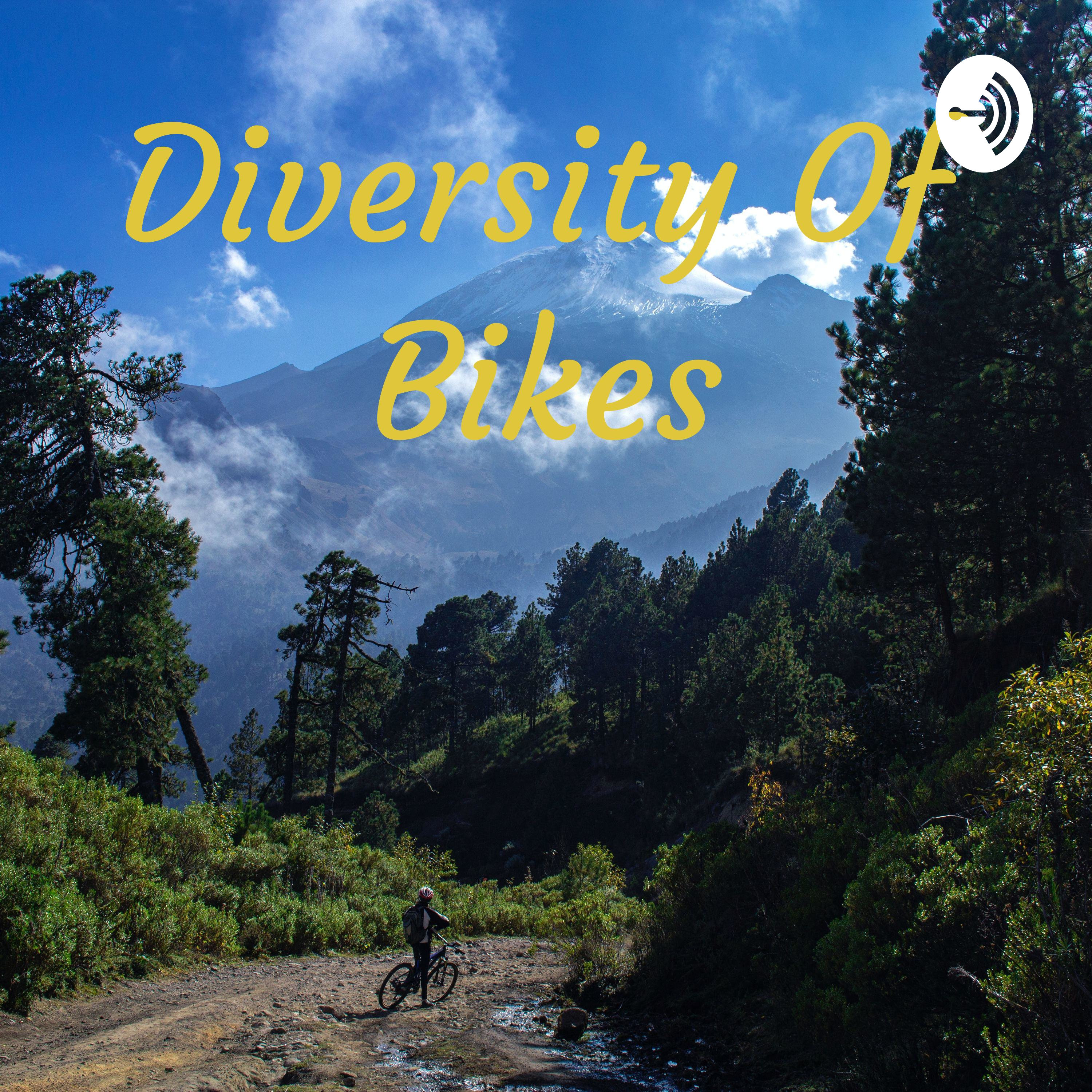 Diversity Of Bikes