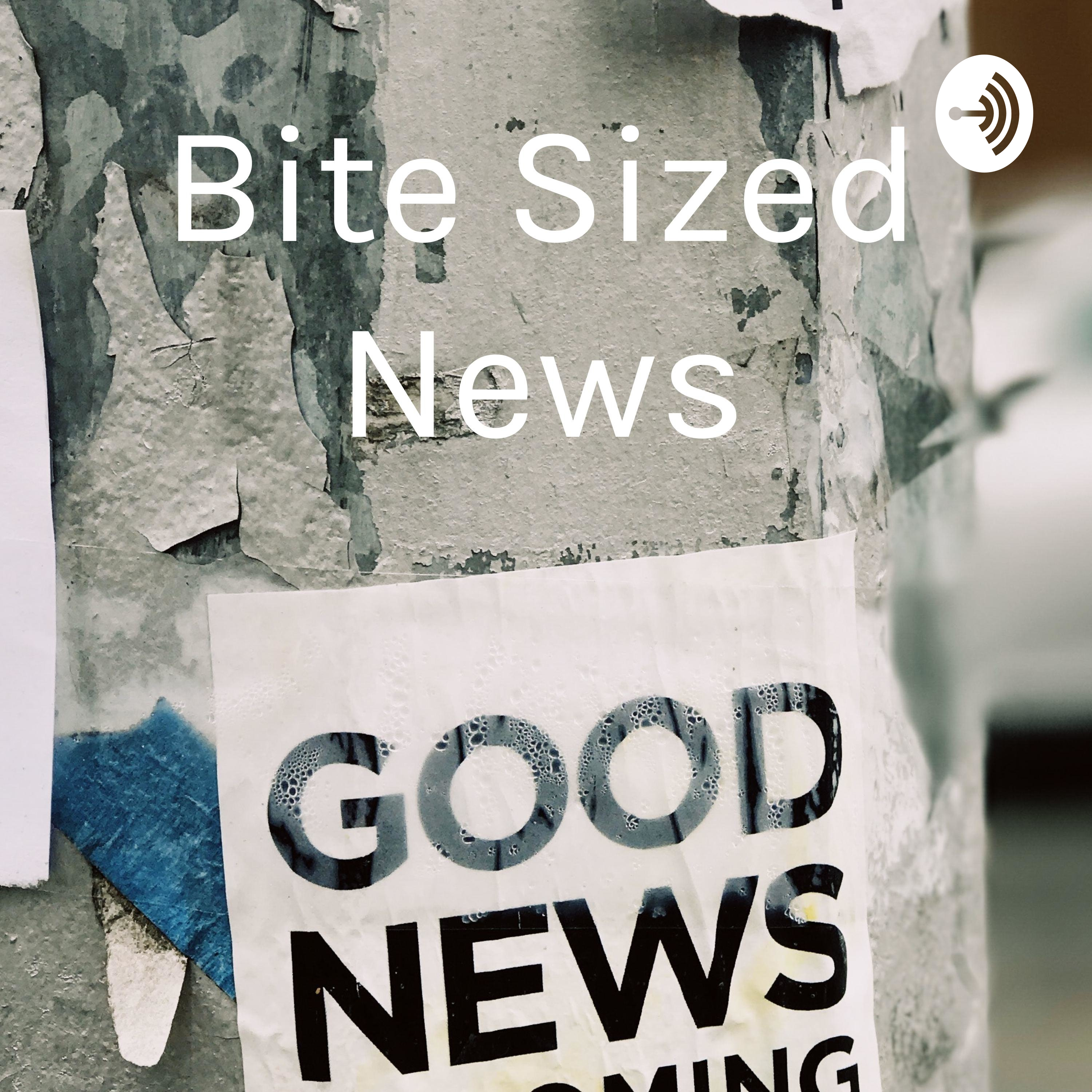 Bite Sized News