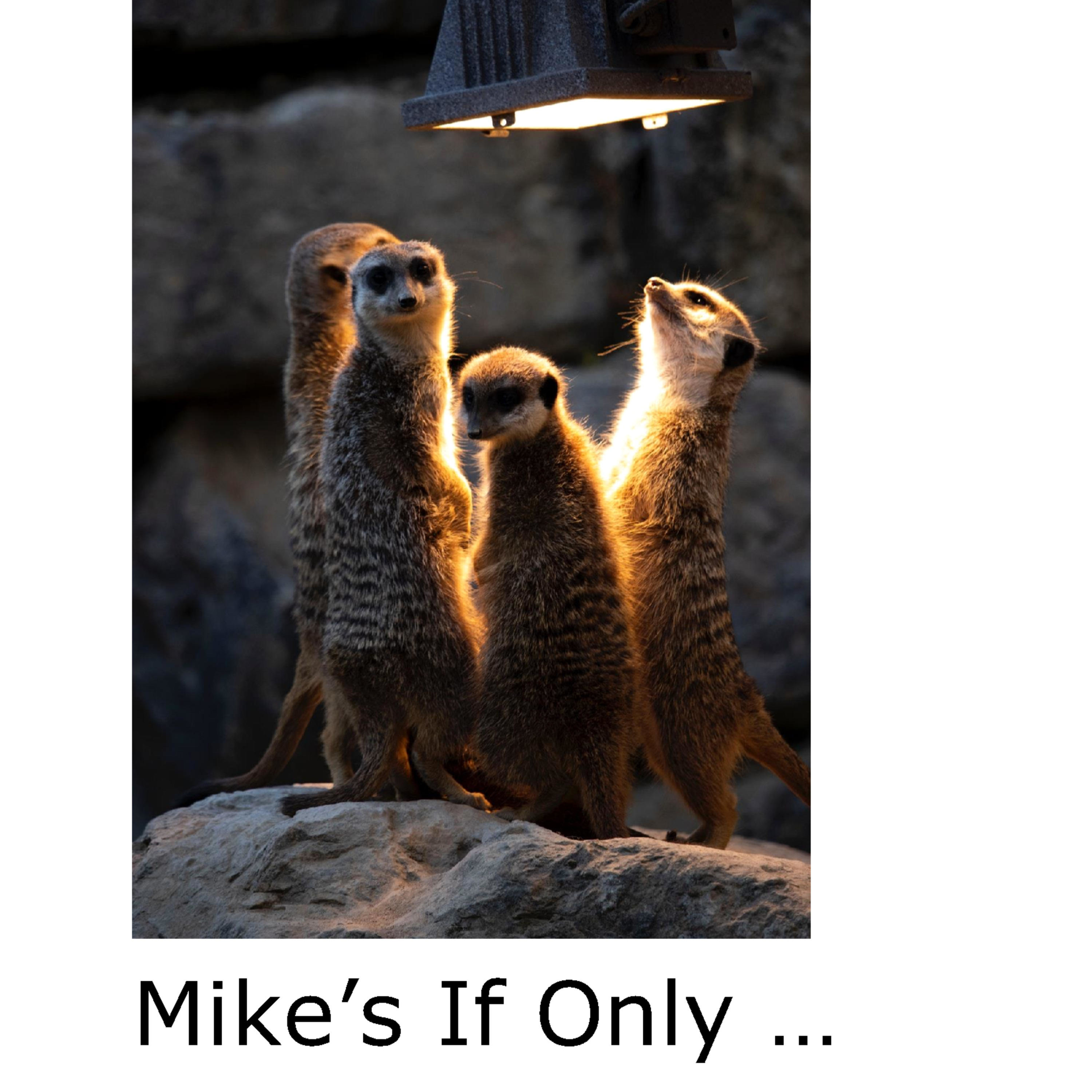 mikesifonly
