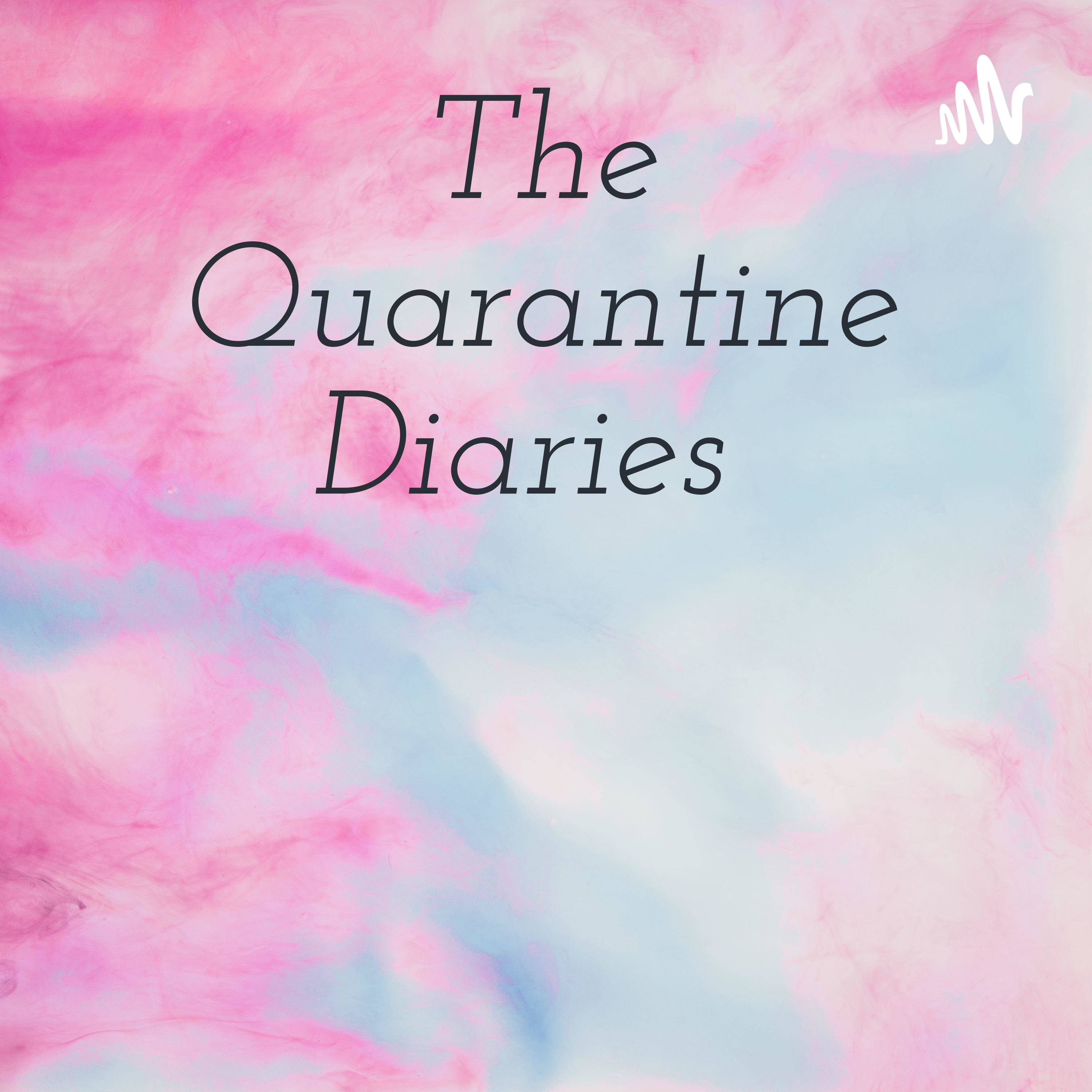 The Quarantine Diaries 