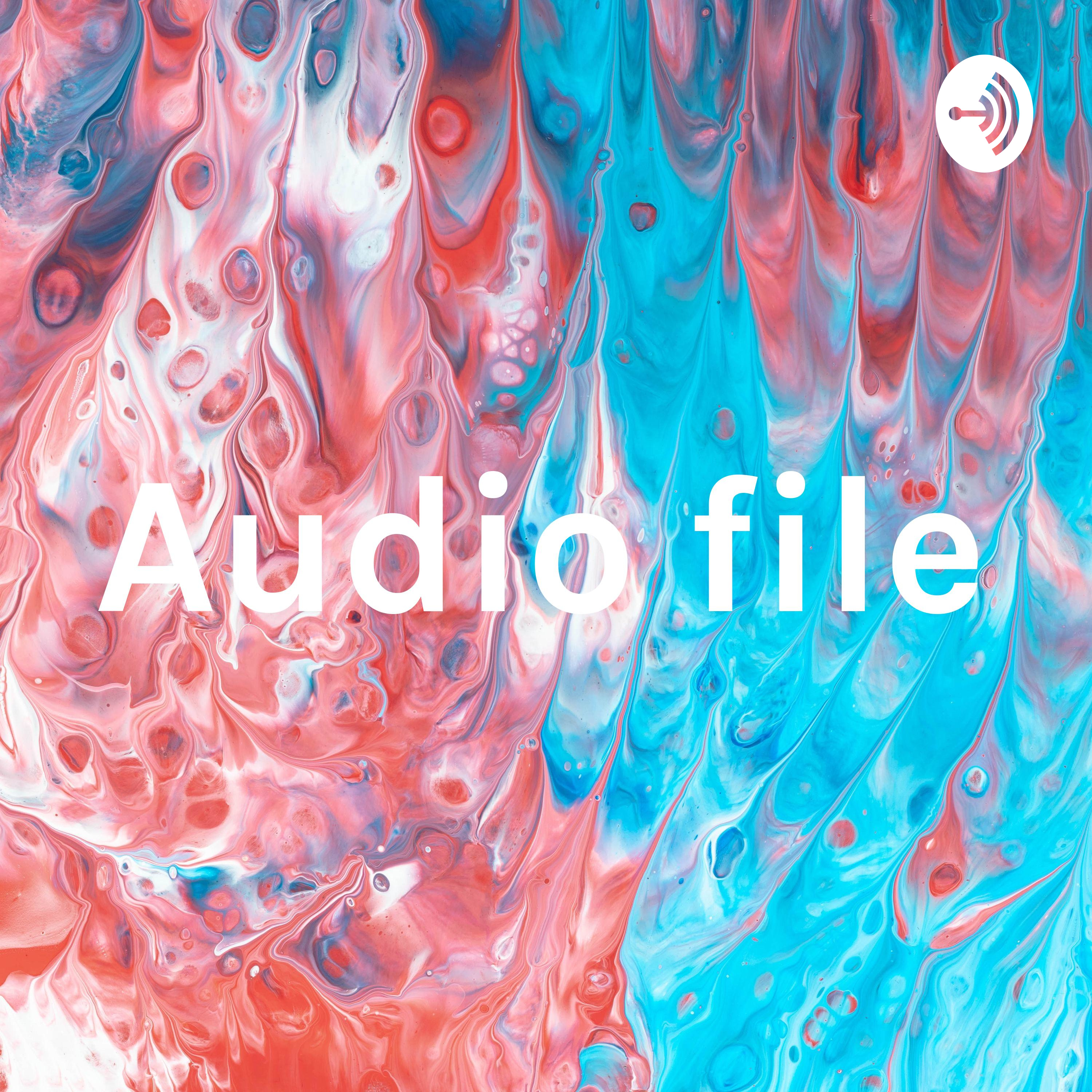 Audio file