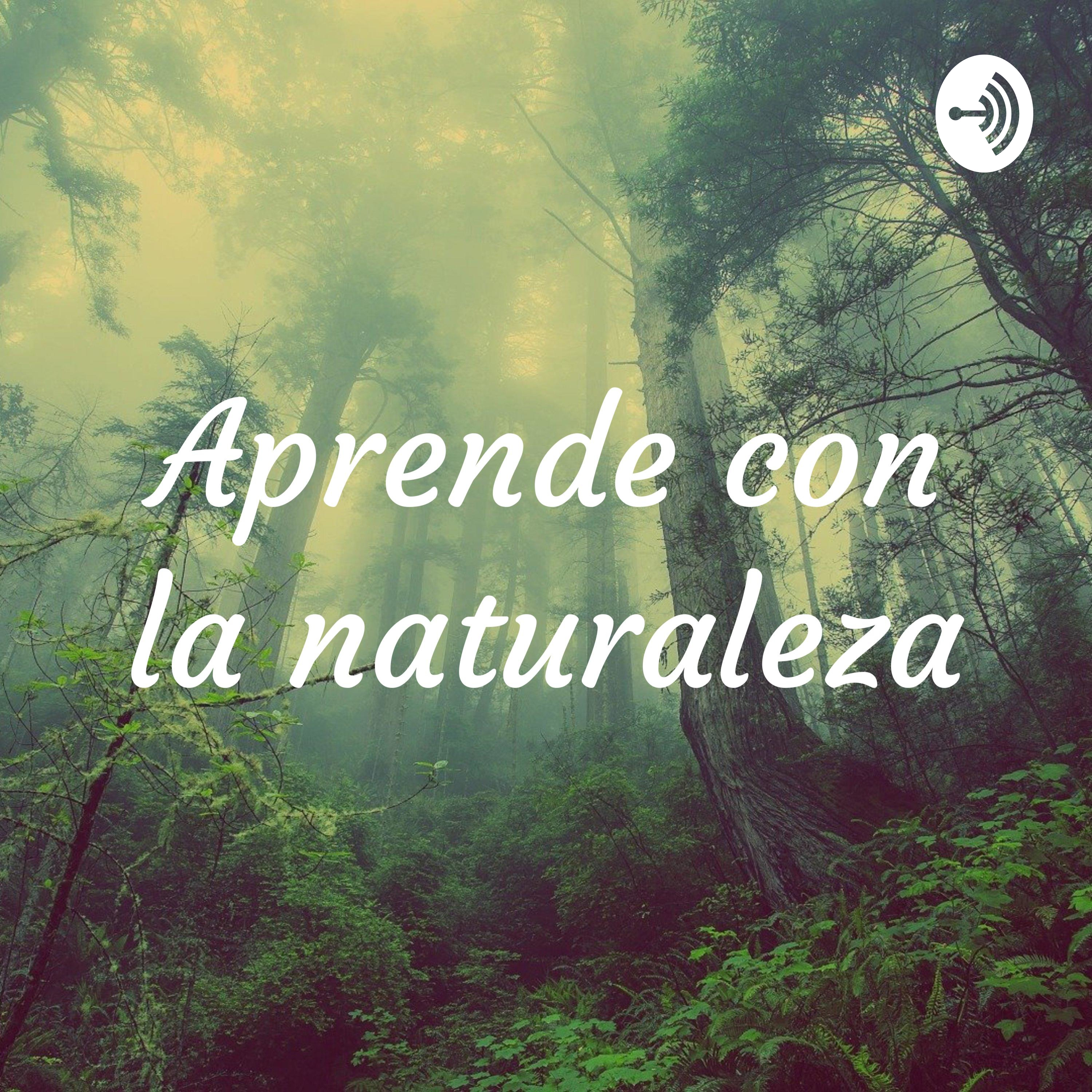 Aprende con la naturaleza podcast artwork