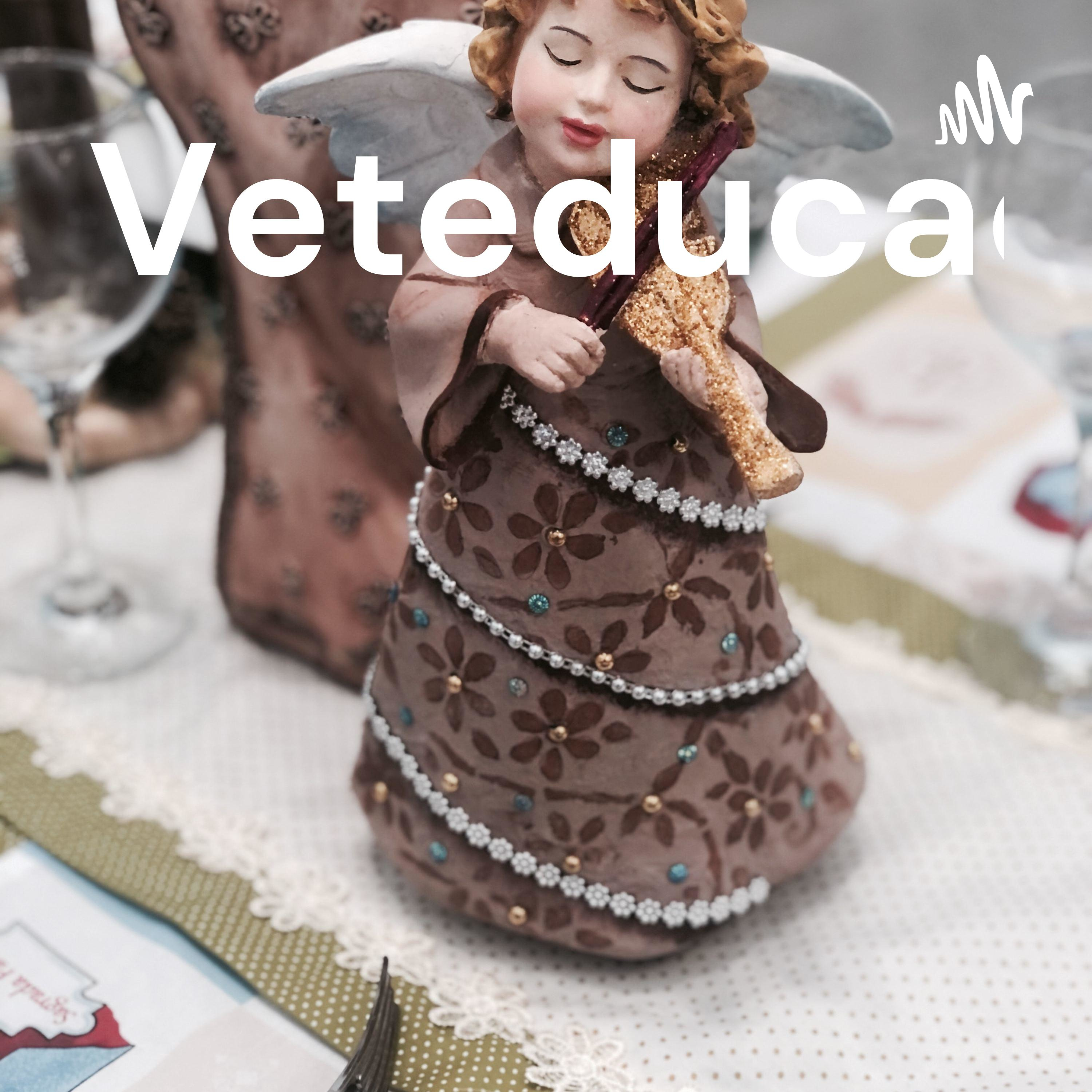 Violino Nota 1000 podcast artwork