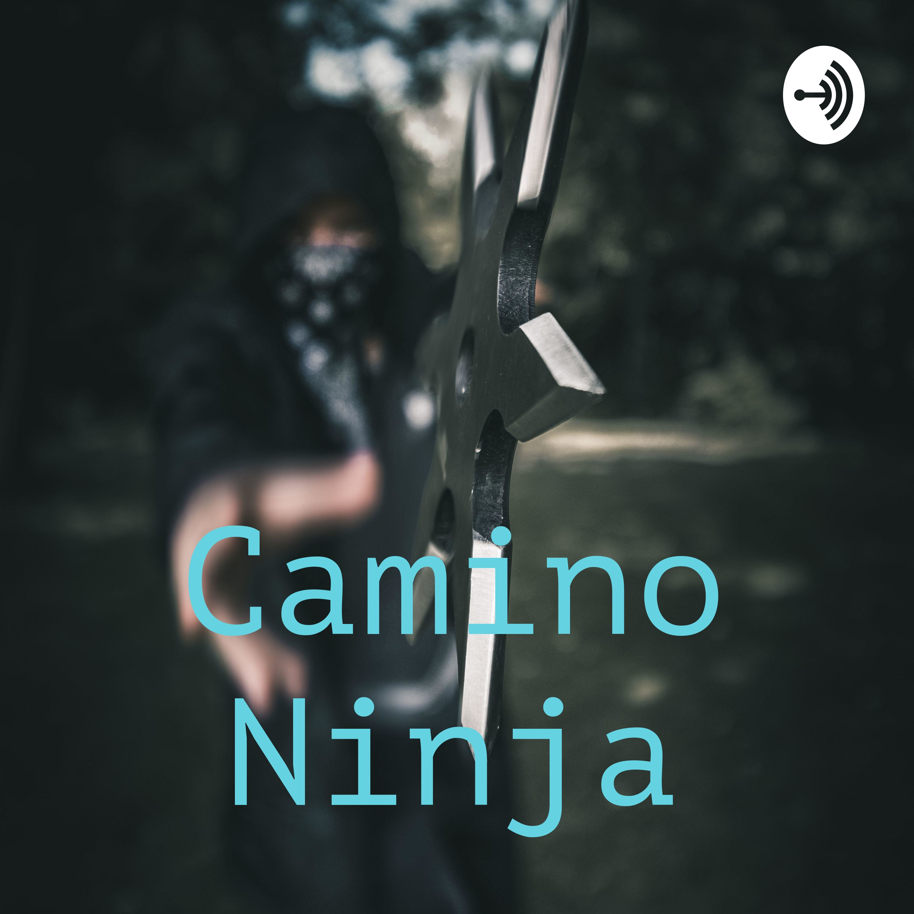 Camino Ninja