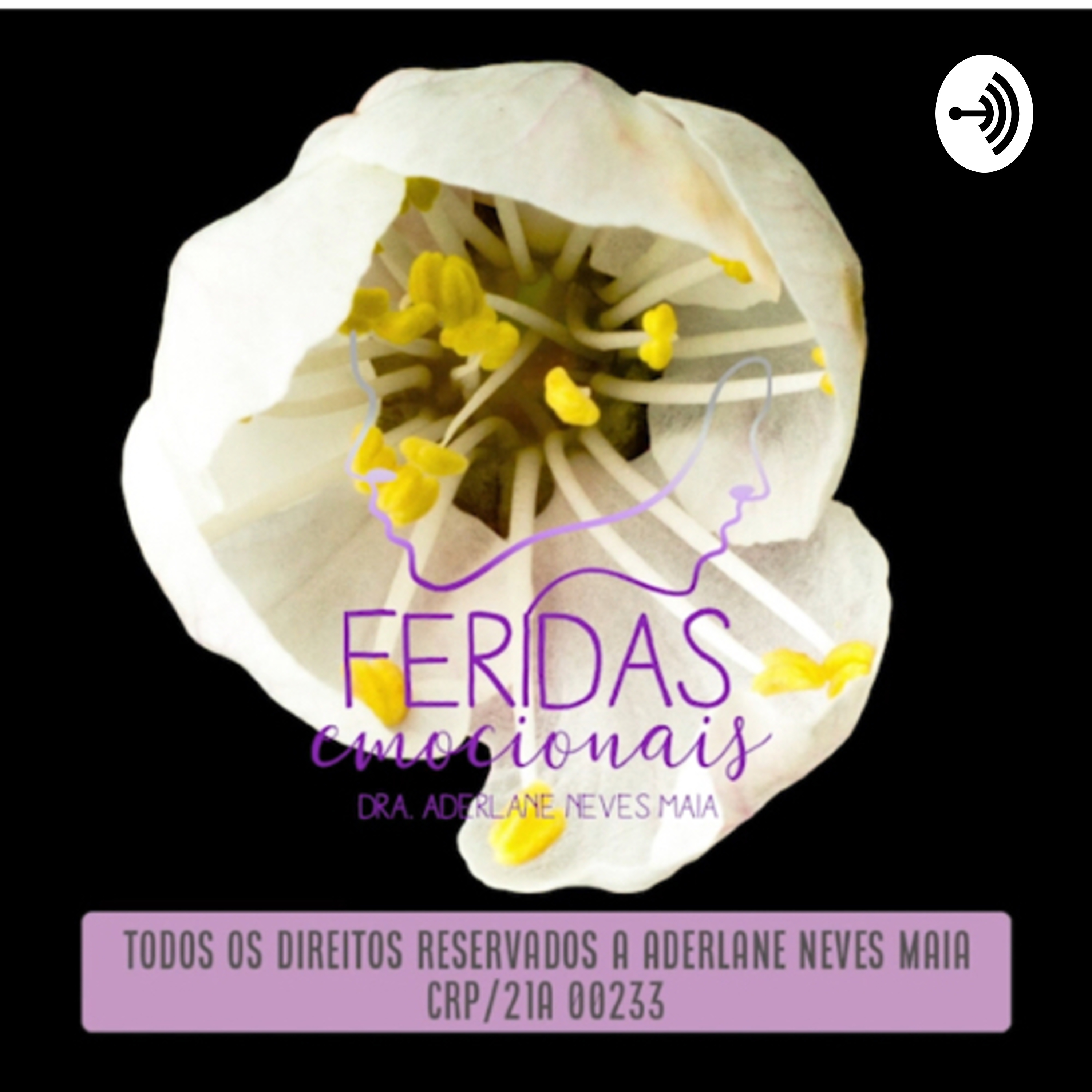 UM CURSO EM MILAGRES