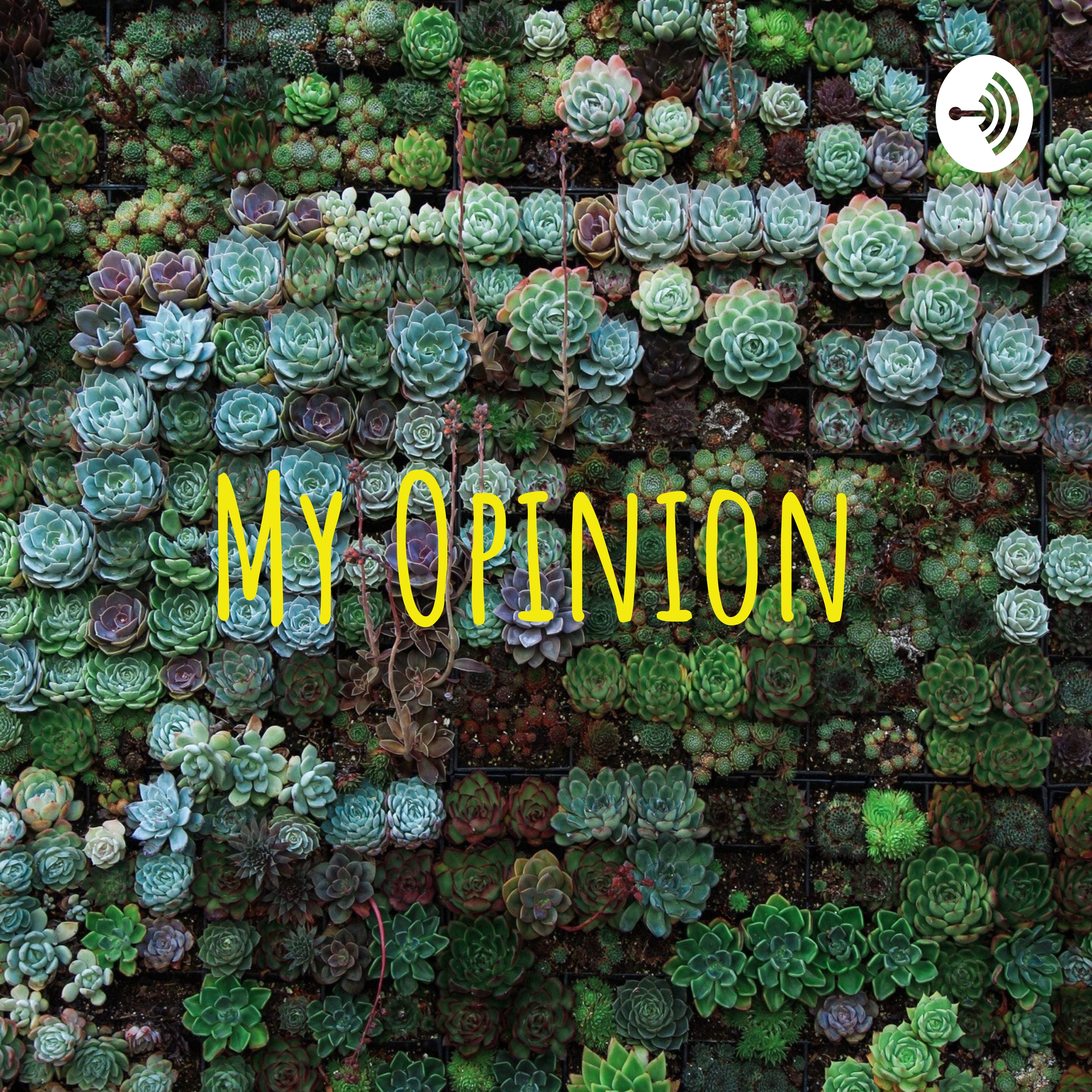 MY OPINION: Premiere