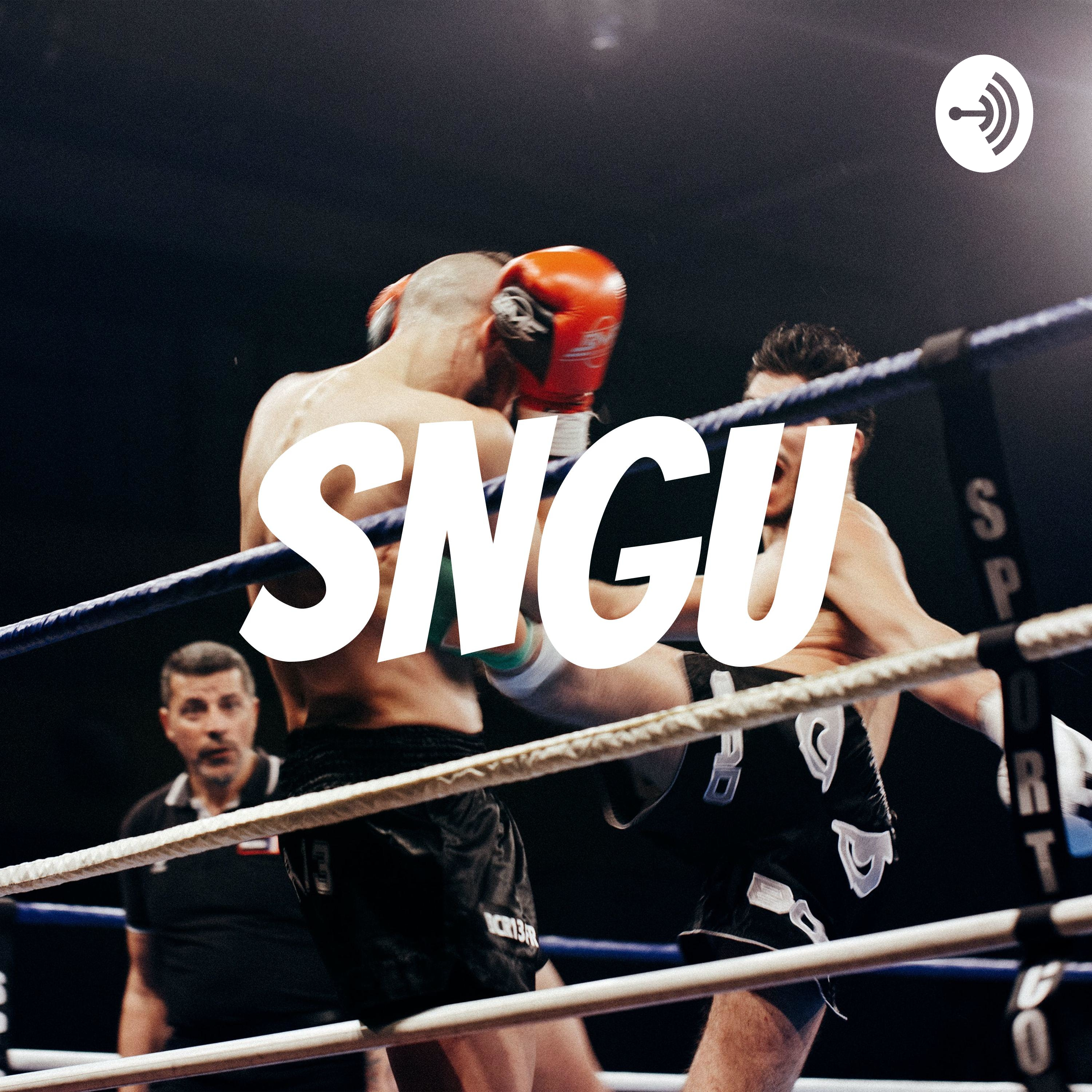 SNGU podcast artwork