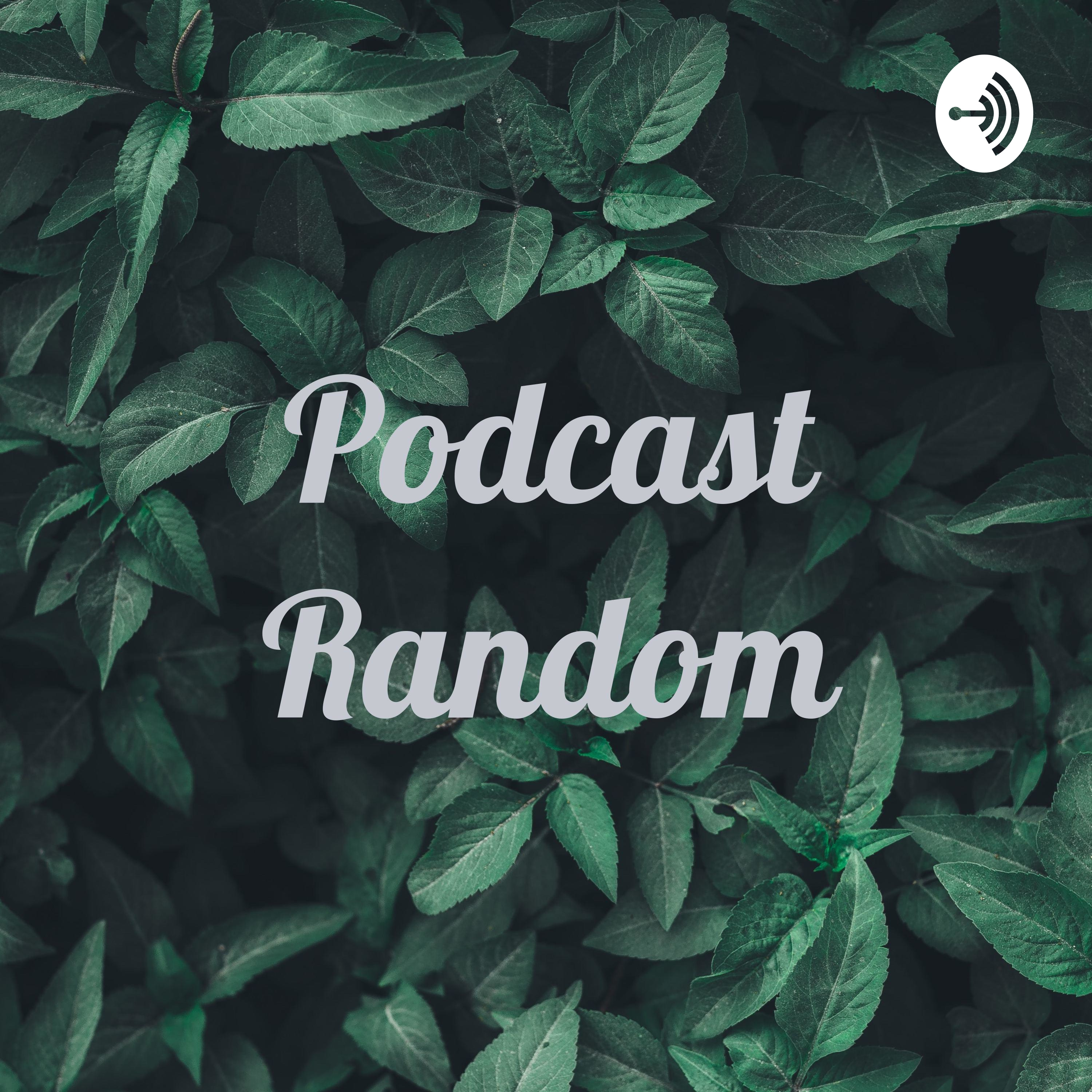 Random podcast podcast artwork