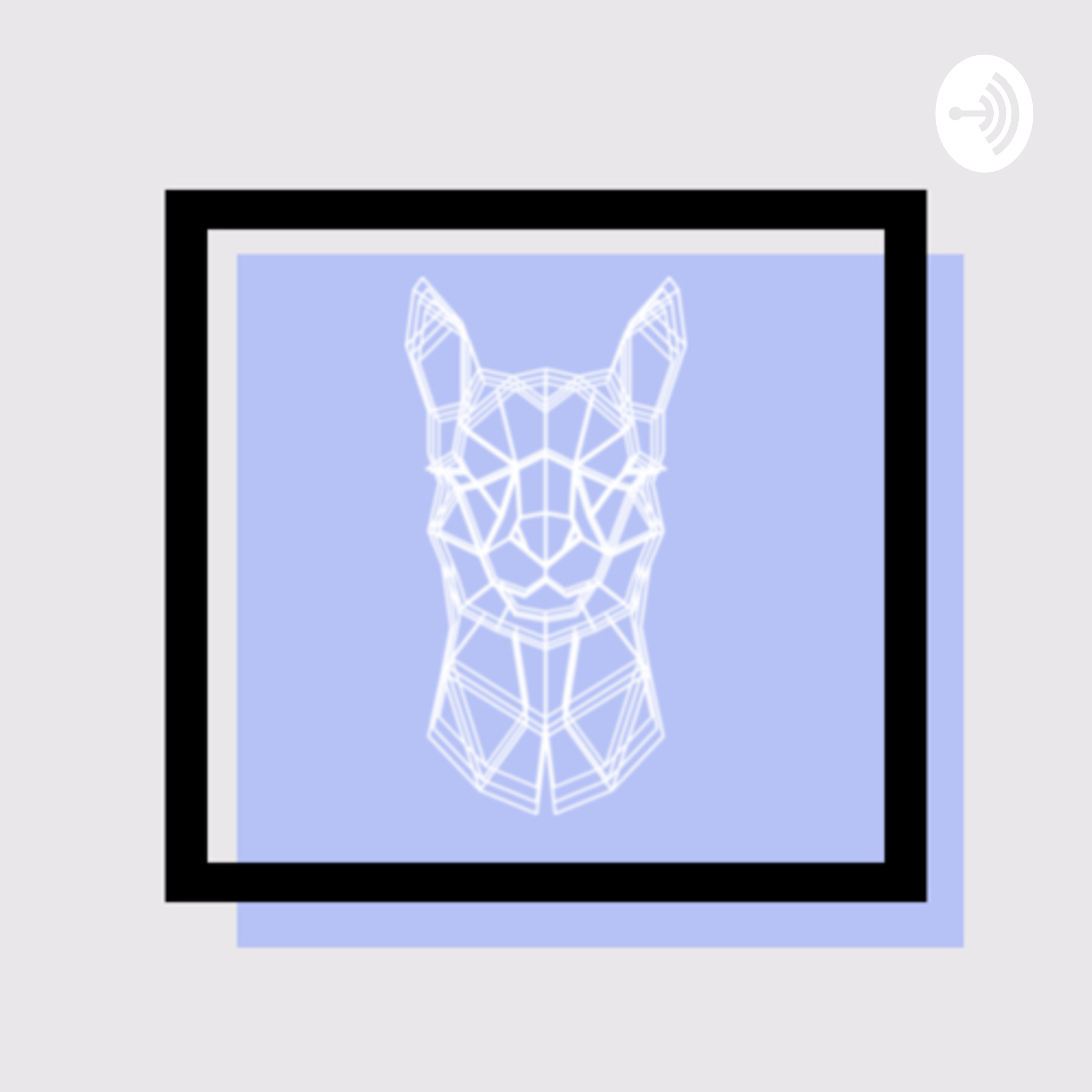 Alpaca