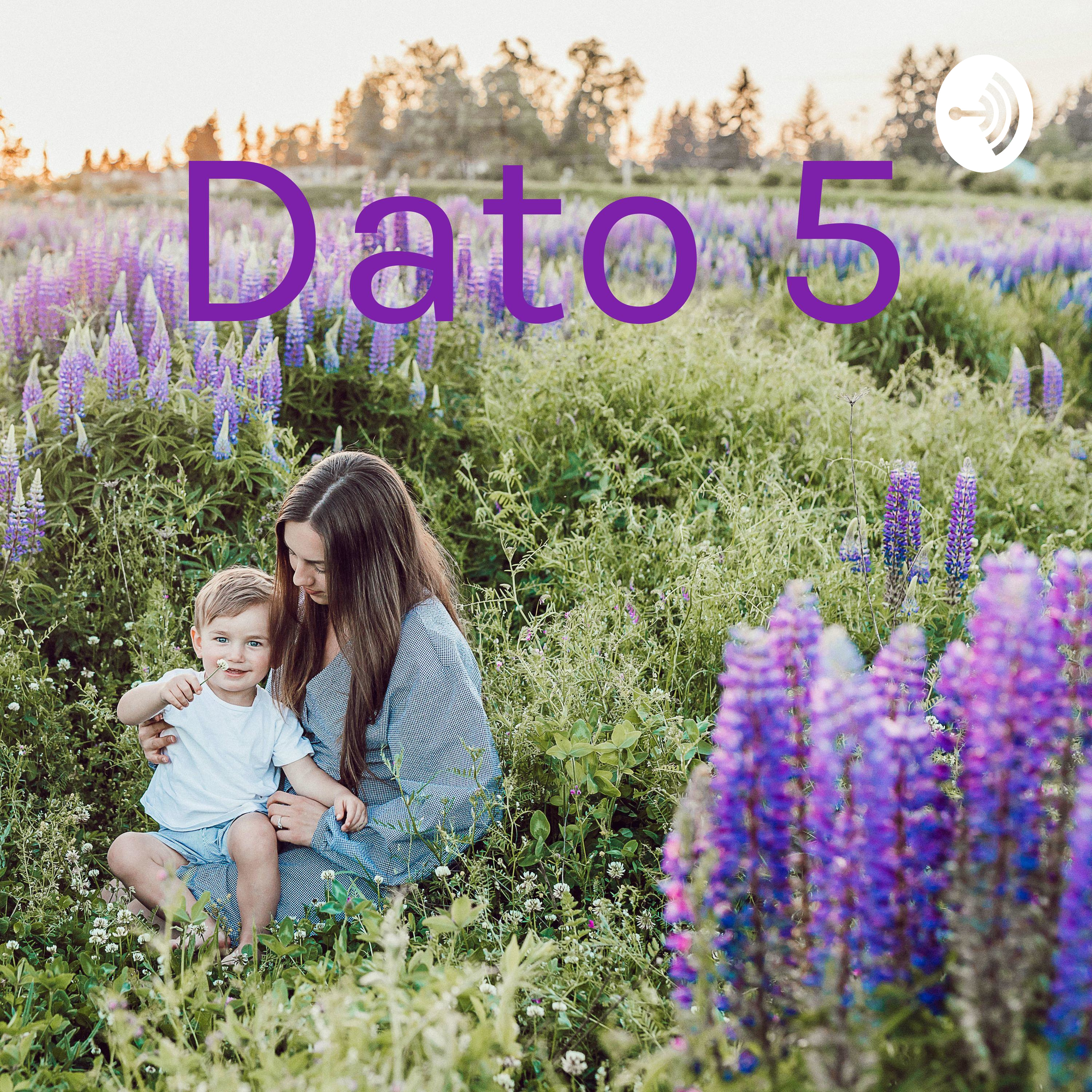 Dato 5