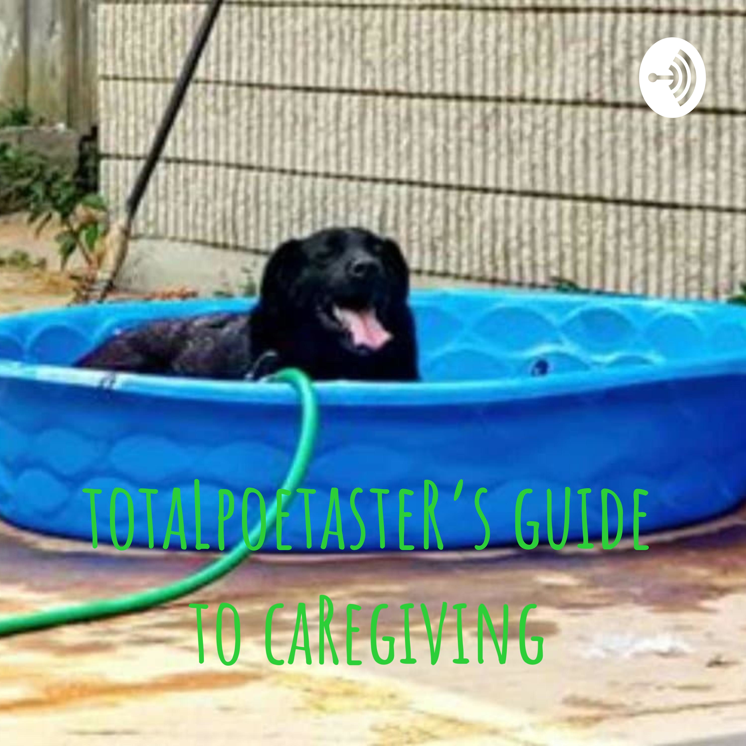 totaLpoetasteR's guide to caRegiving