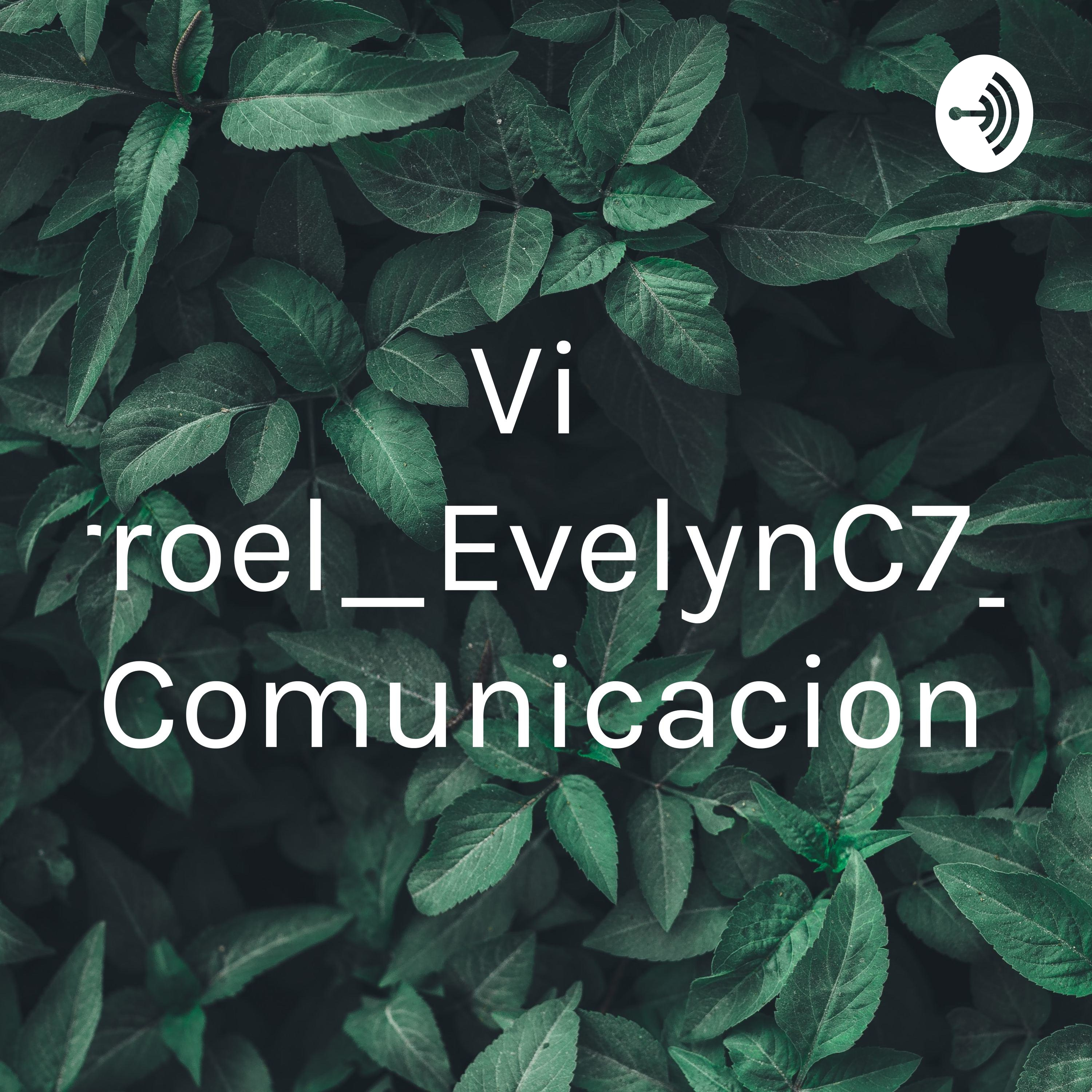 Villarroel_EvelynC7_la Comunicacion