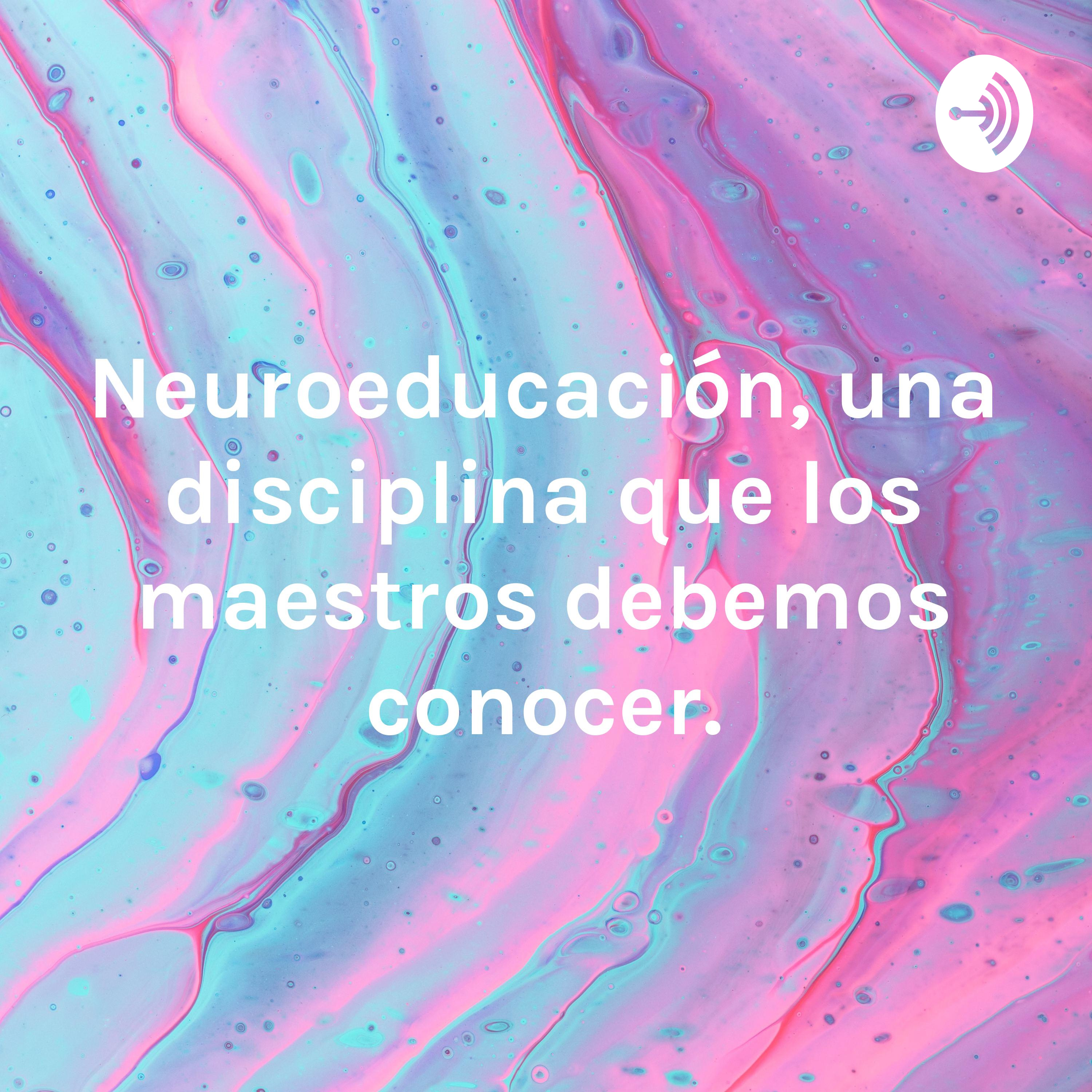 Neuroeducación, una disciplina que los maestros debemos conocer.