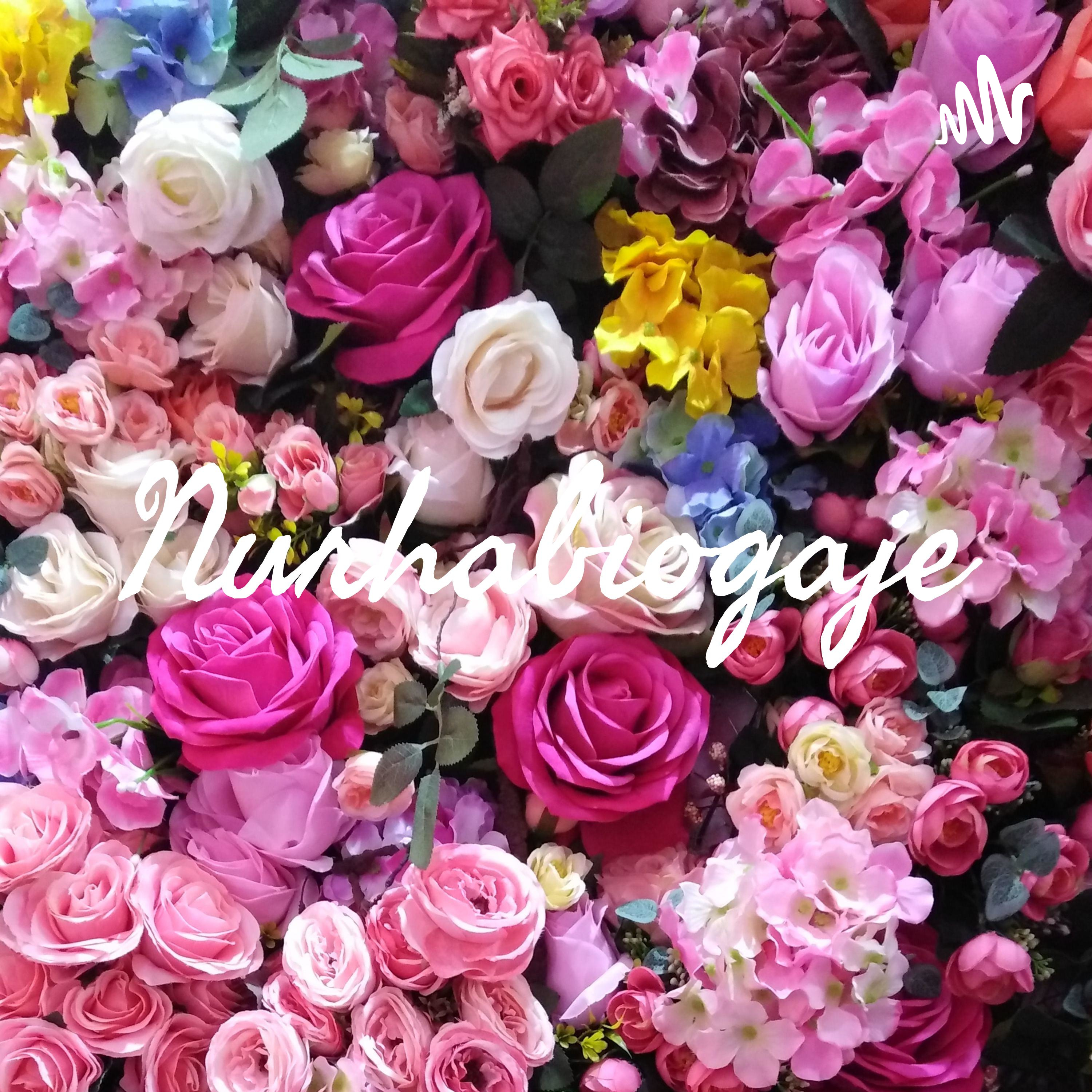 Nurhabiogaje podcast artwork