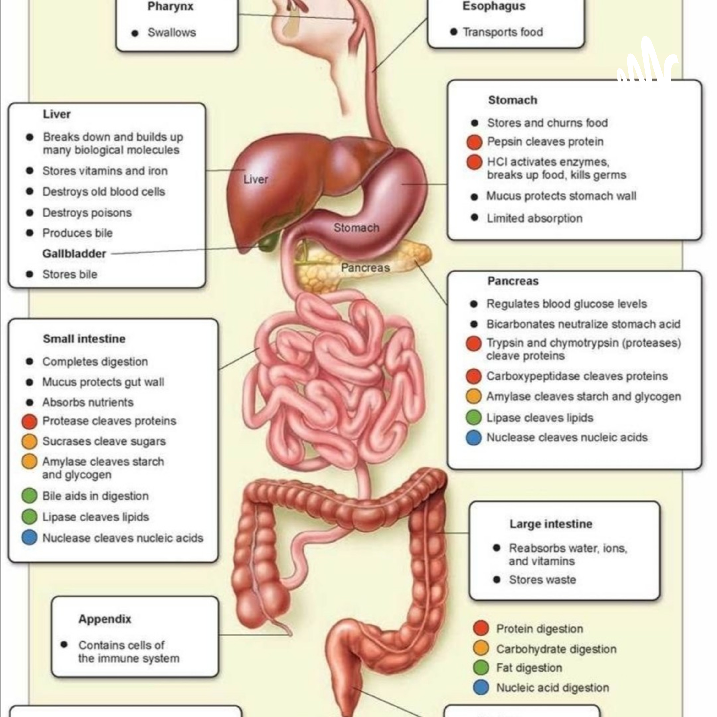 Biology