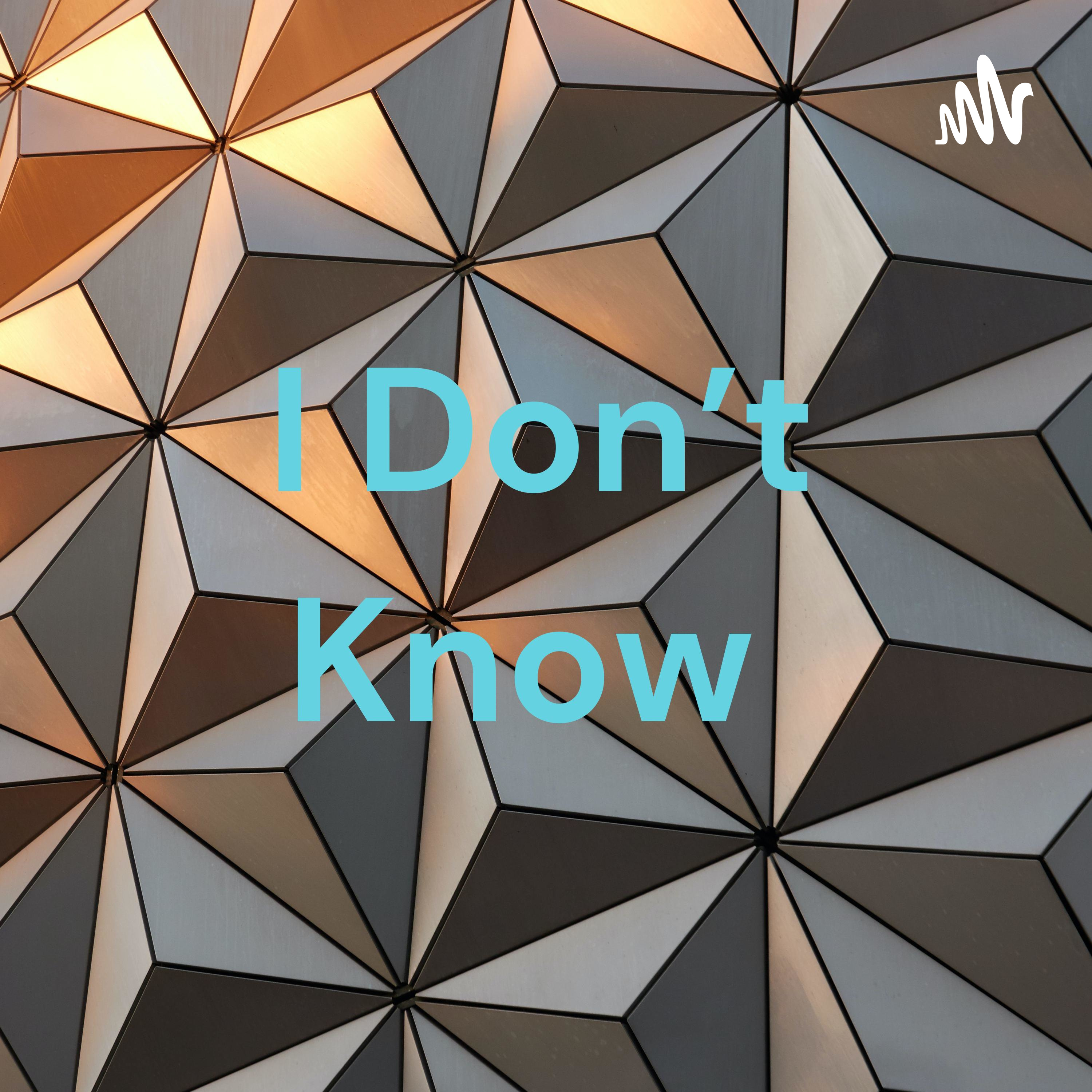 I Don't Know 