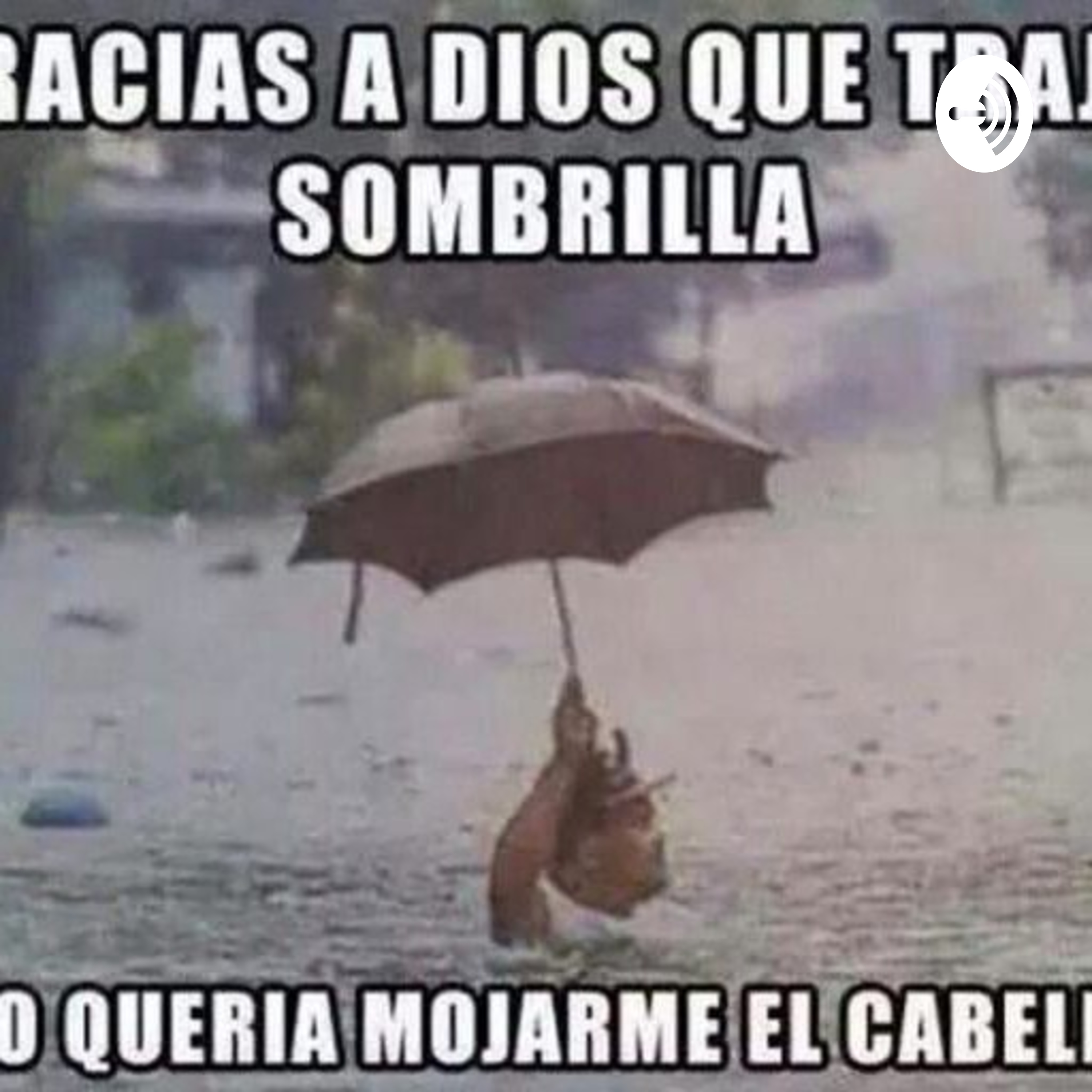 Lluvia De Pendejadas☔