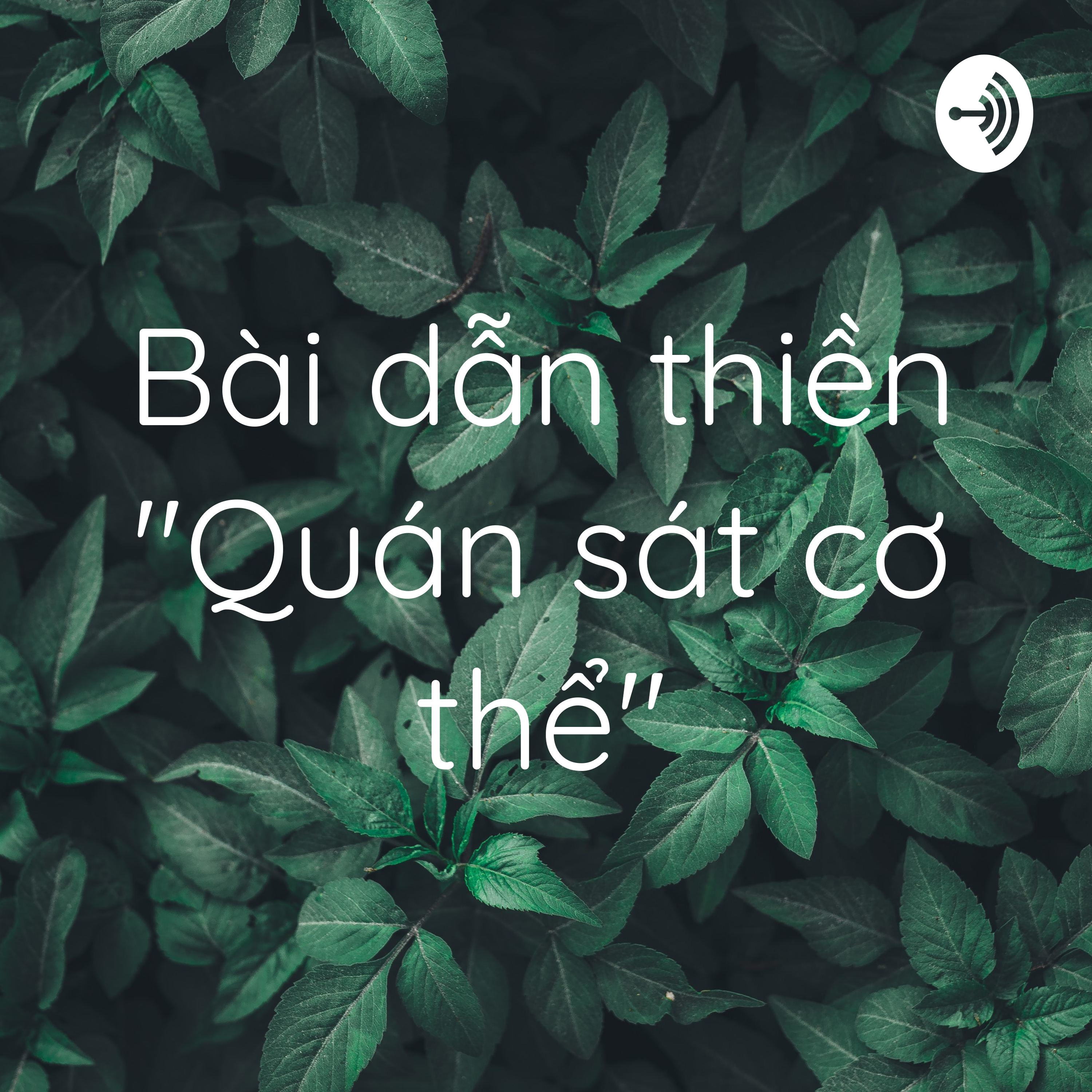 Bài dẫn thiền "Quán sát cơ thể"
