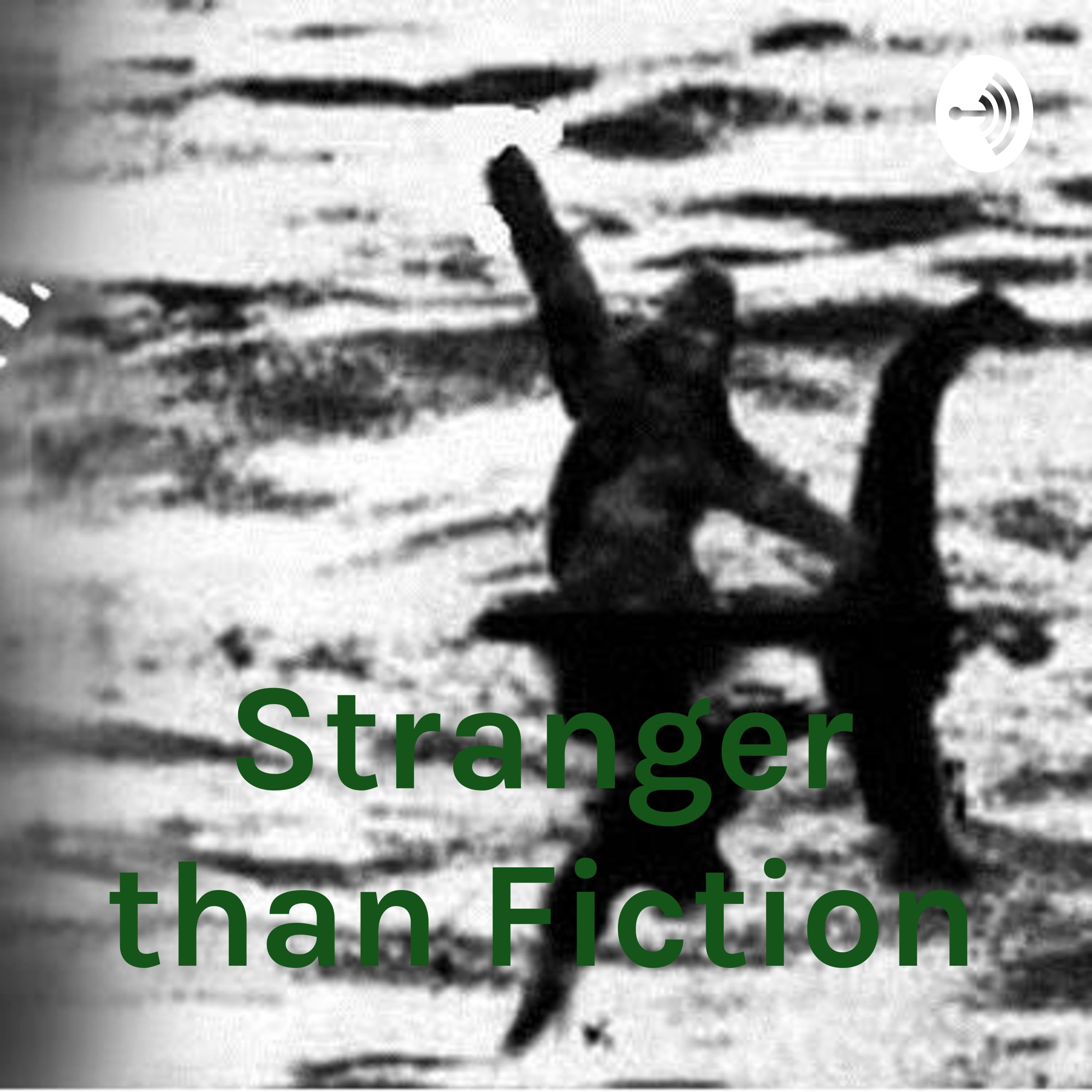 Stranger than Fiction with Ren