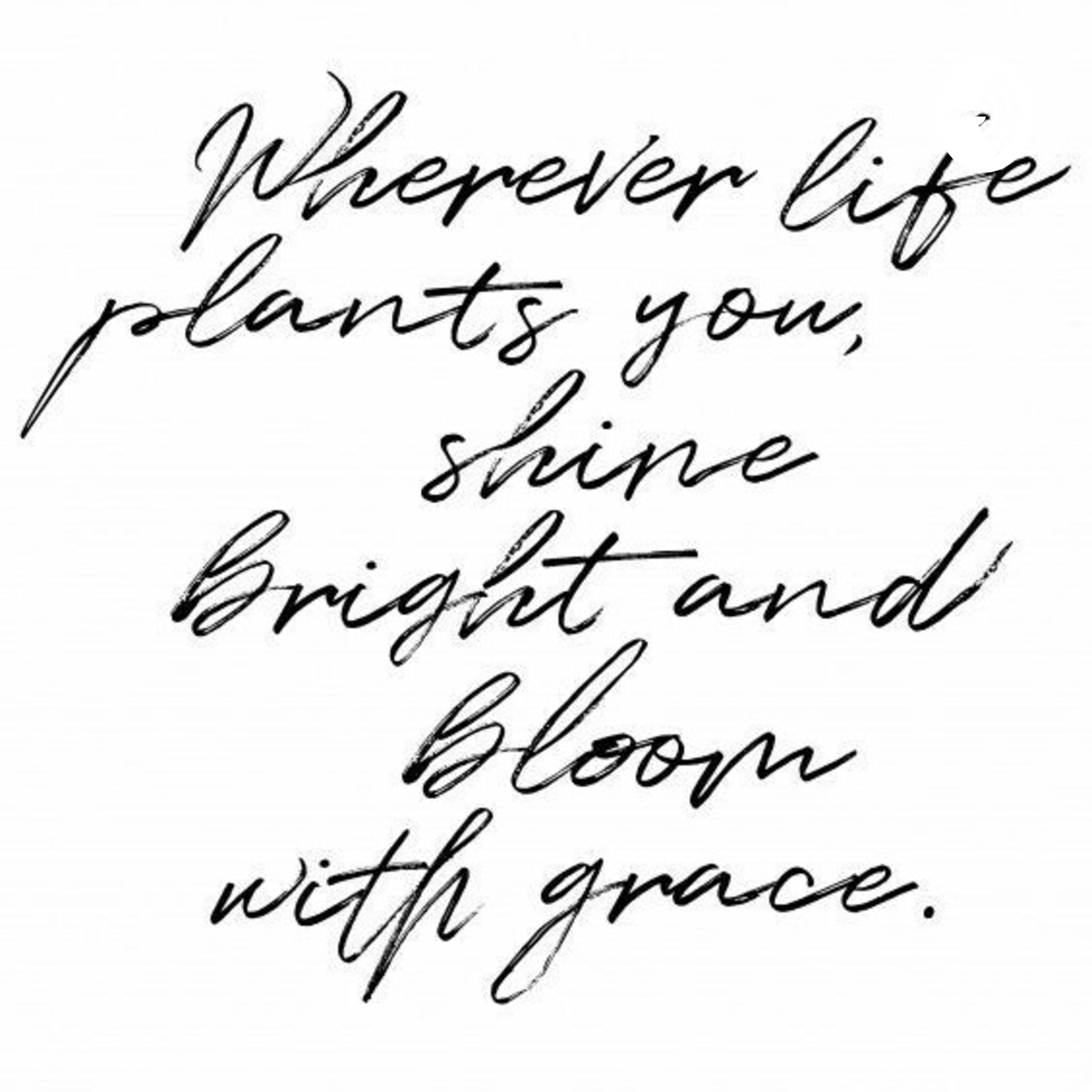 Mind,Body and Soul♡