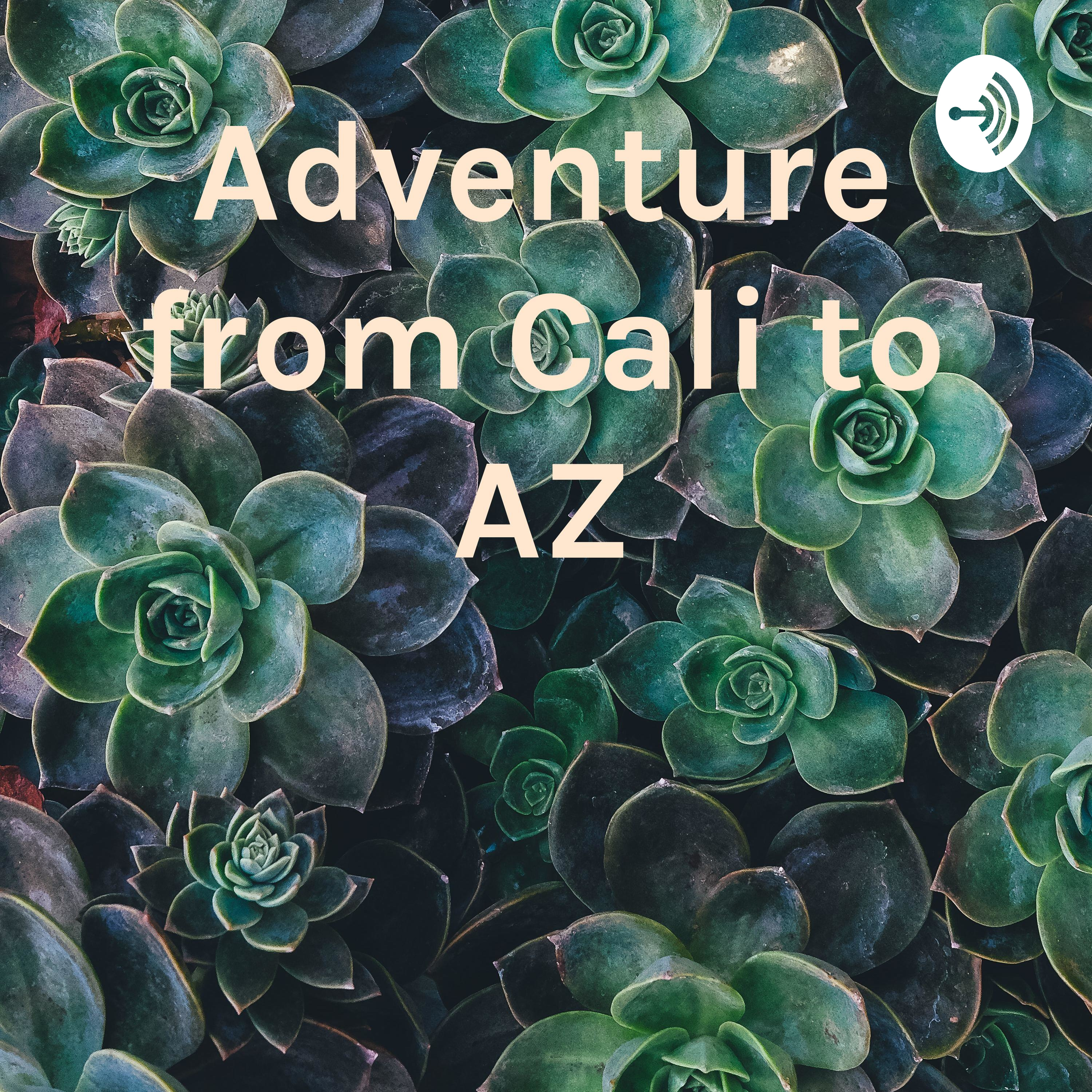 Adventure from Cali to AZ