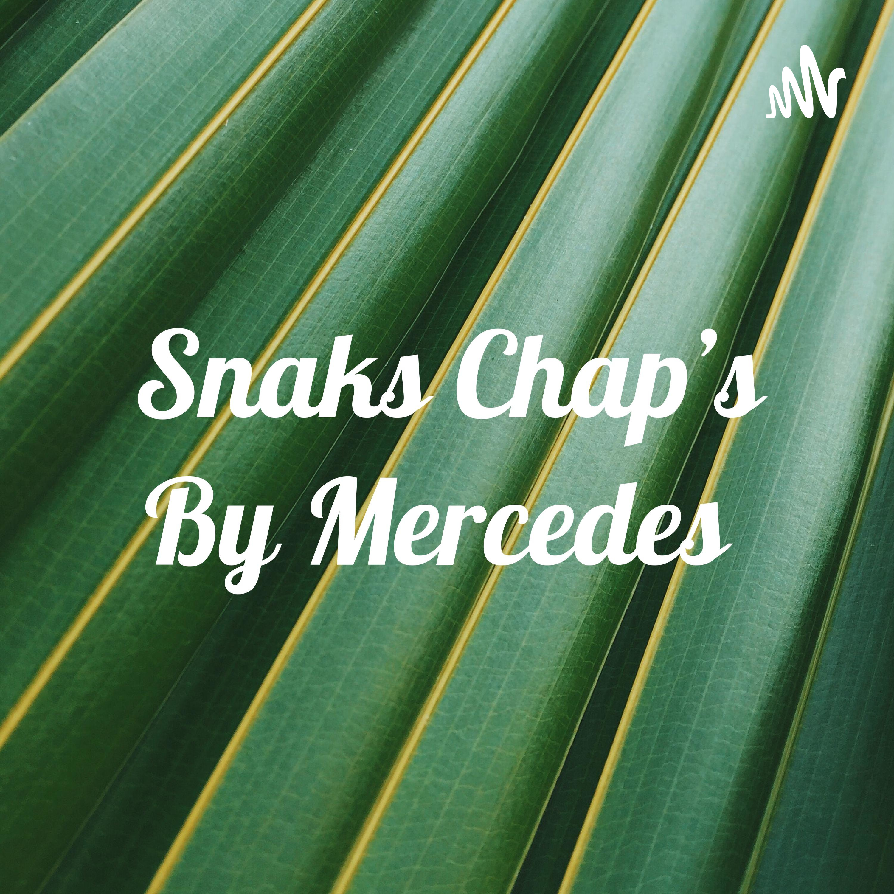 Snaks Chap's By Mercedes 