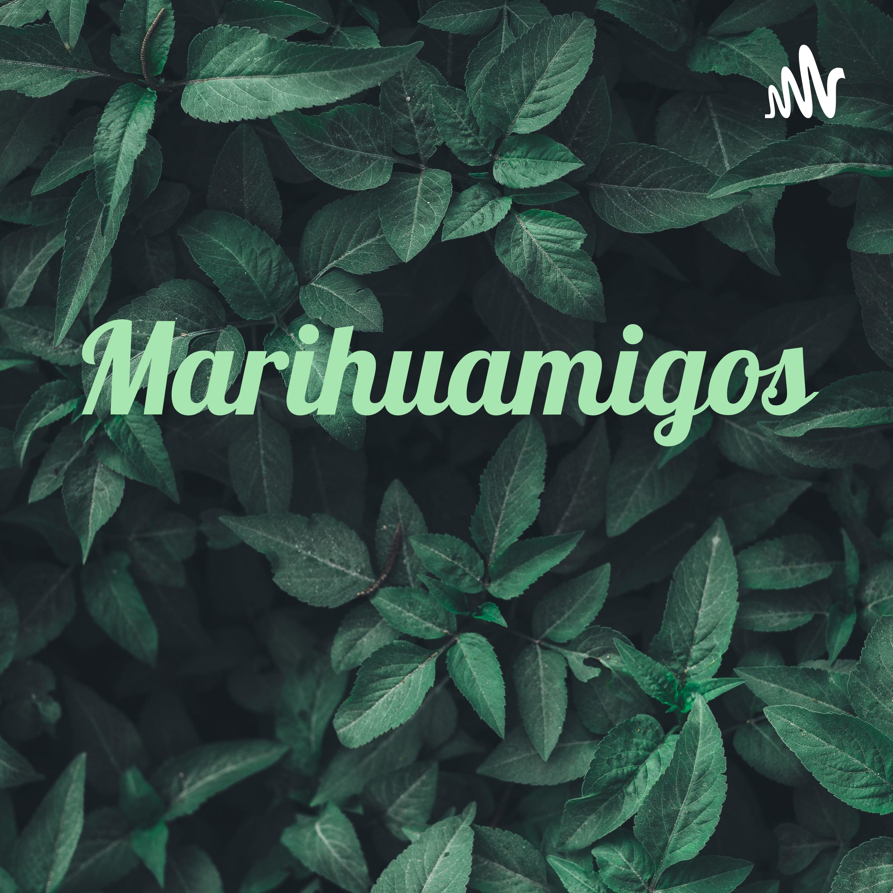 Marihuamigos 💚💛❤️ cover art