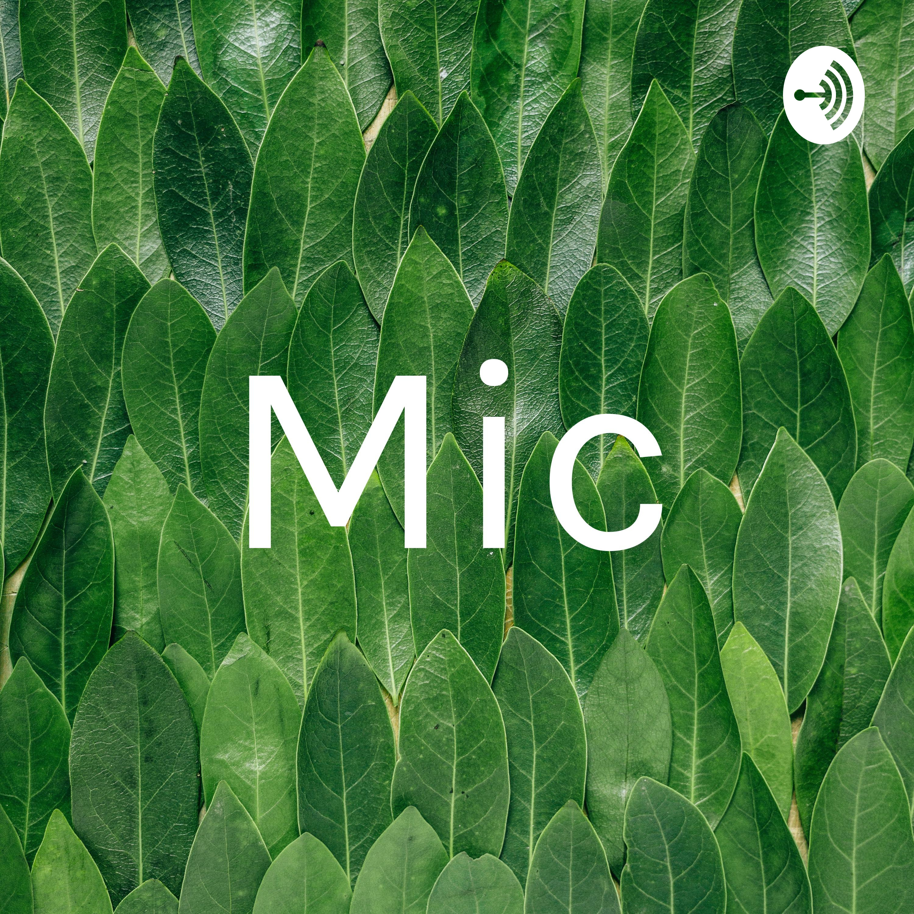 micc cover art