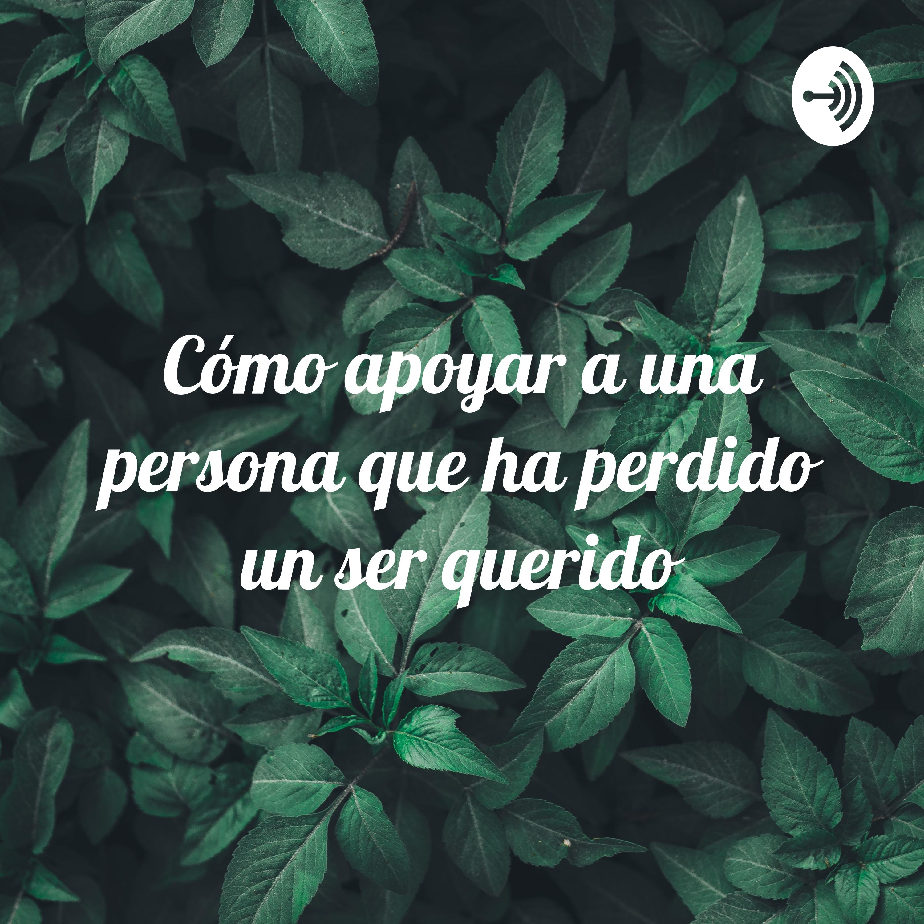 Cómo apoyar a una persona que ha perdido un ser querido