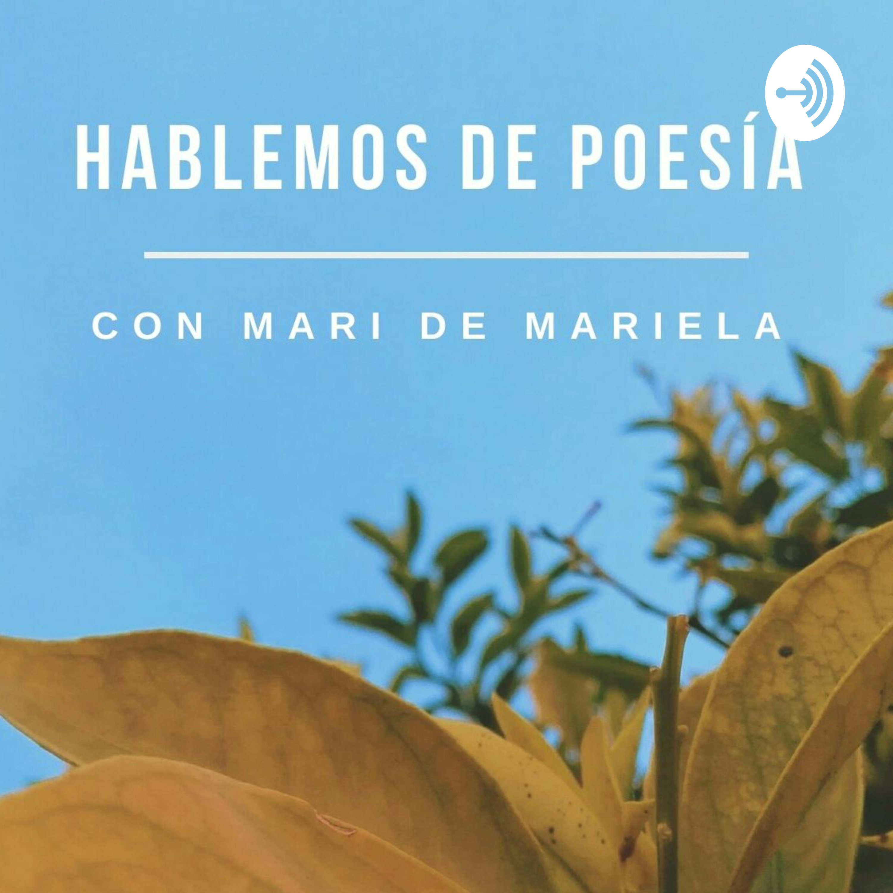 Hablemos de Poesía podcast artwork