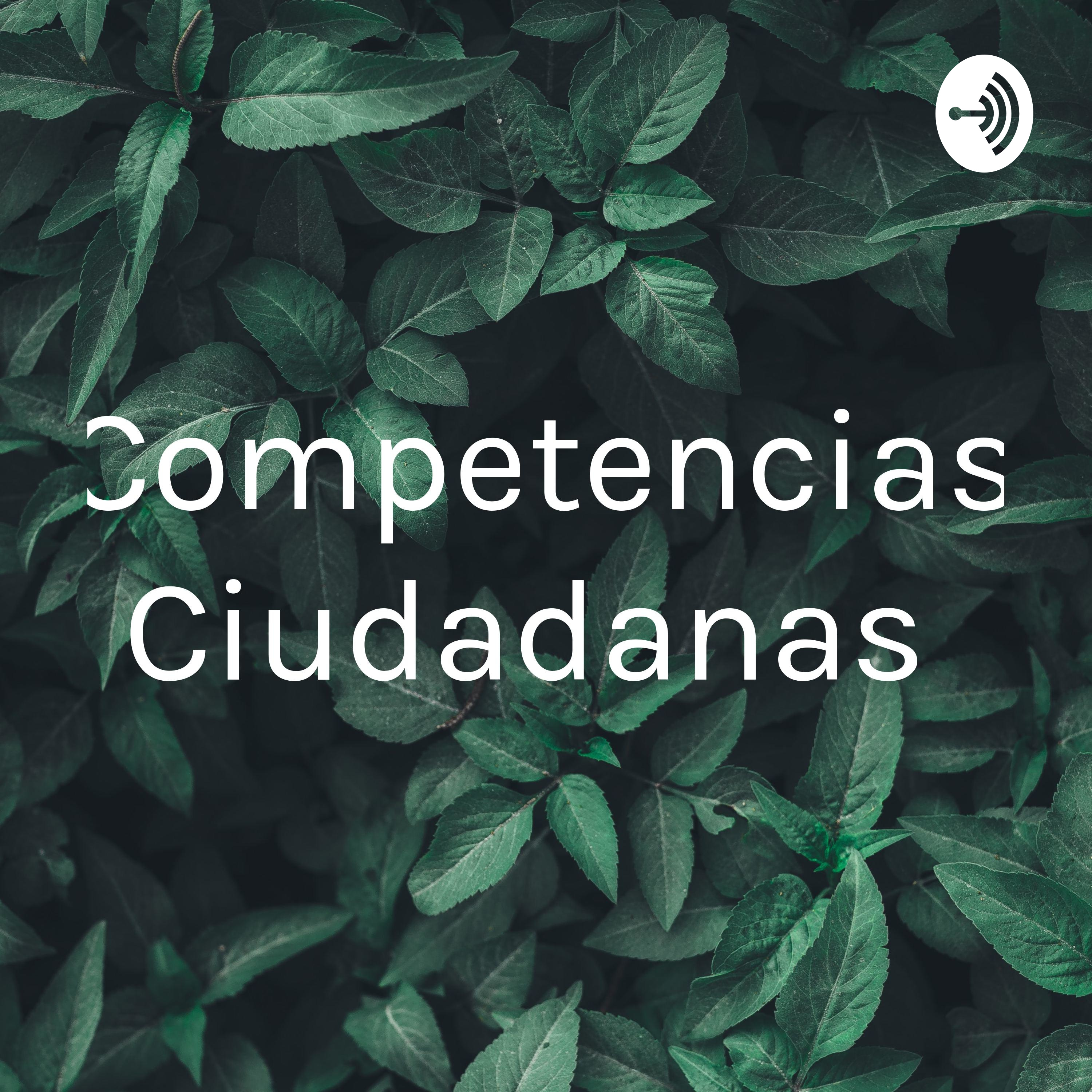 Competencias Ciudadanas 