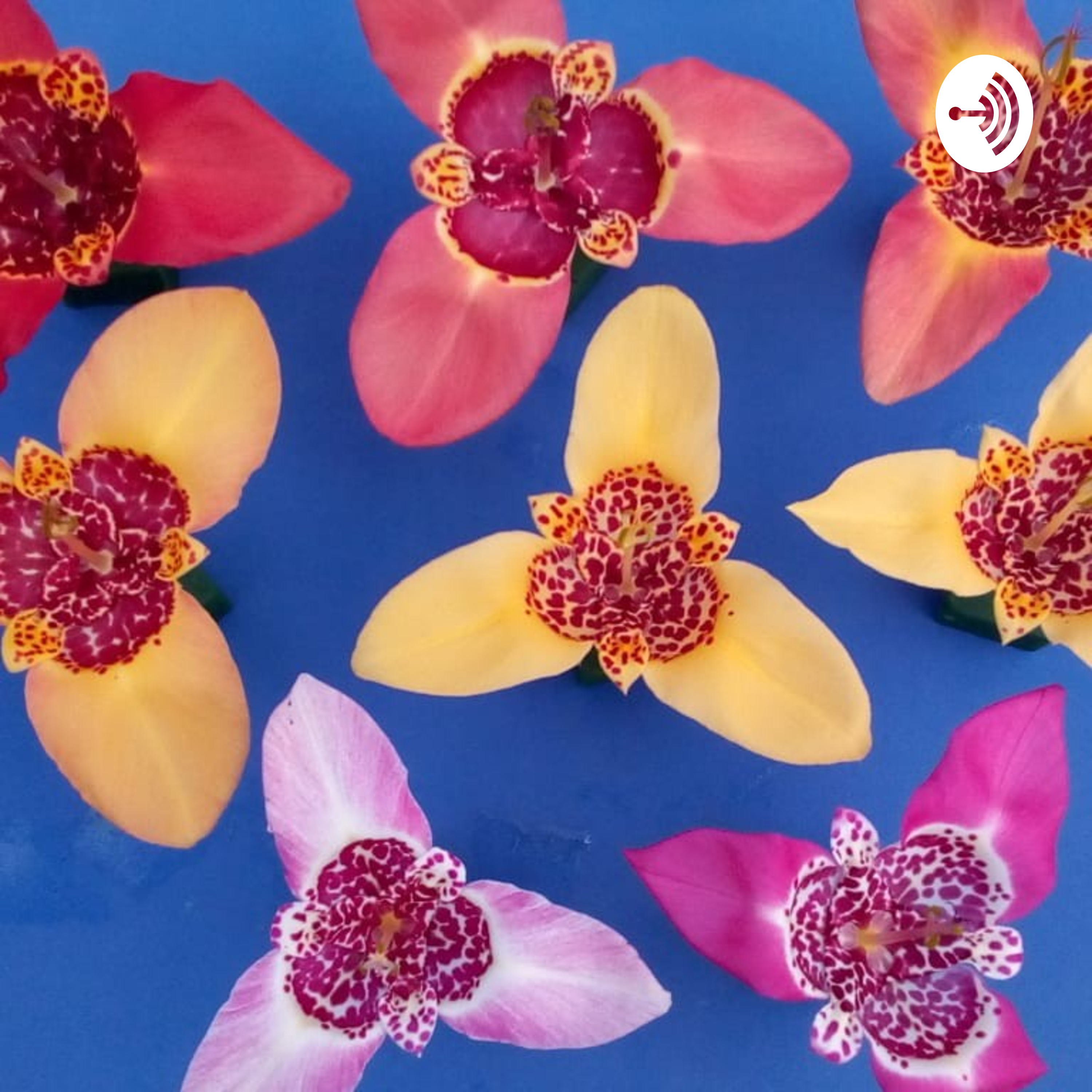 Reproduccion De Seres Vivos