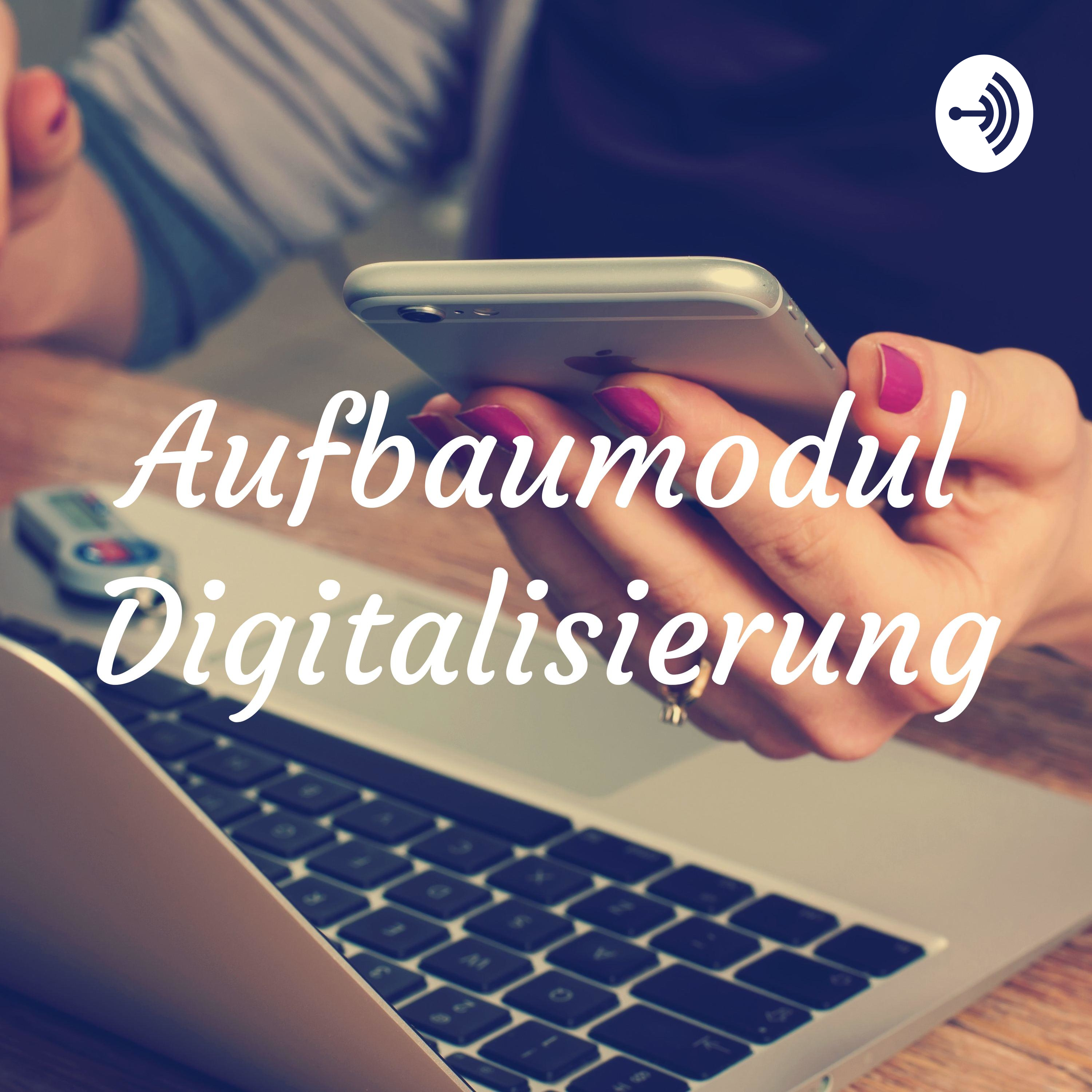 Aufbaumodul Digitalisierung cover art
