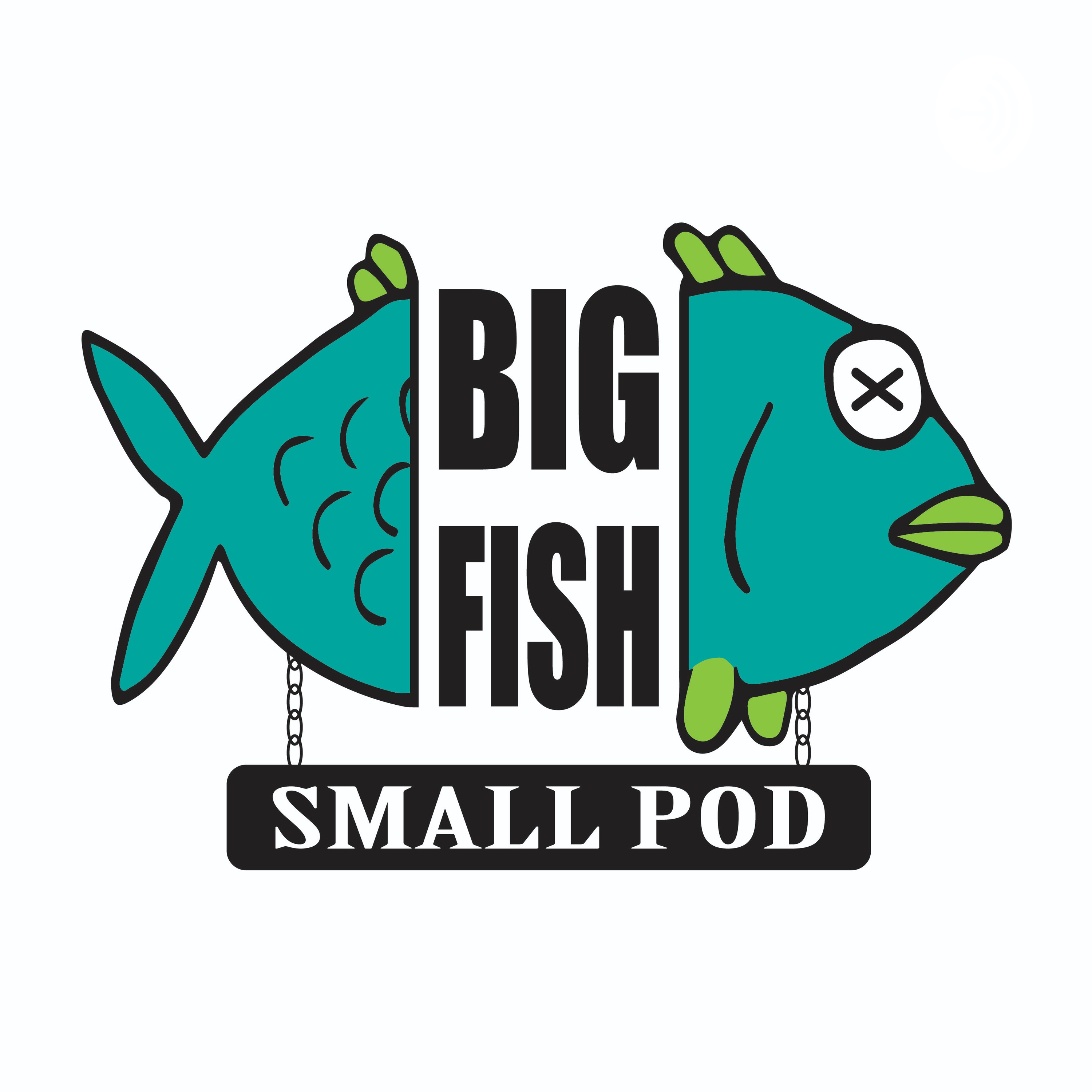Big Fish Small Pod