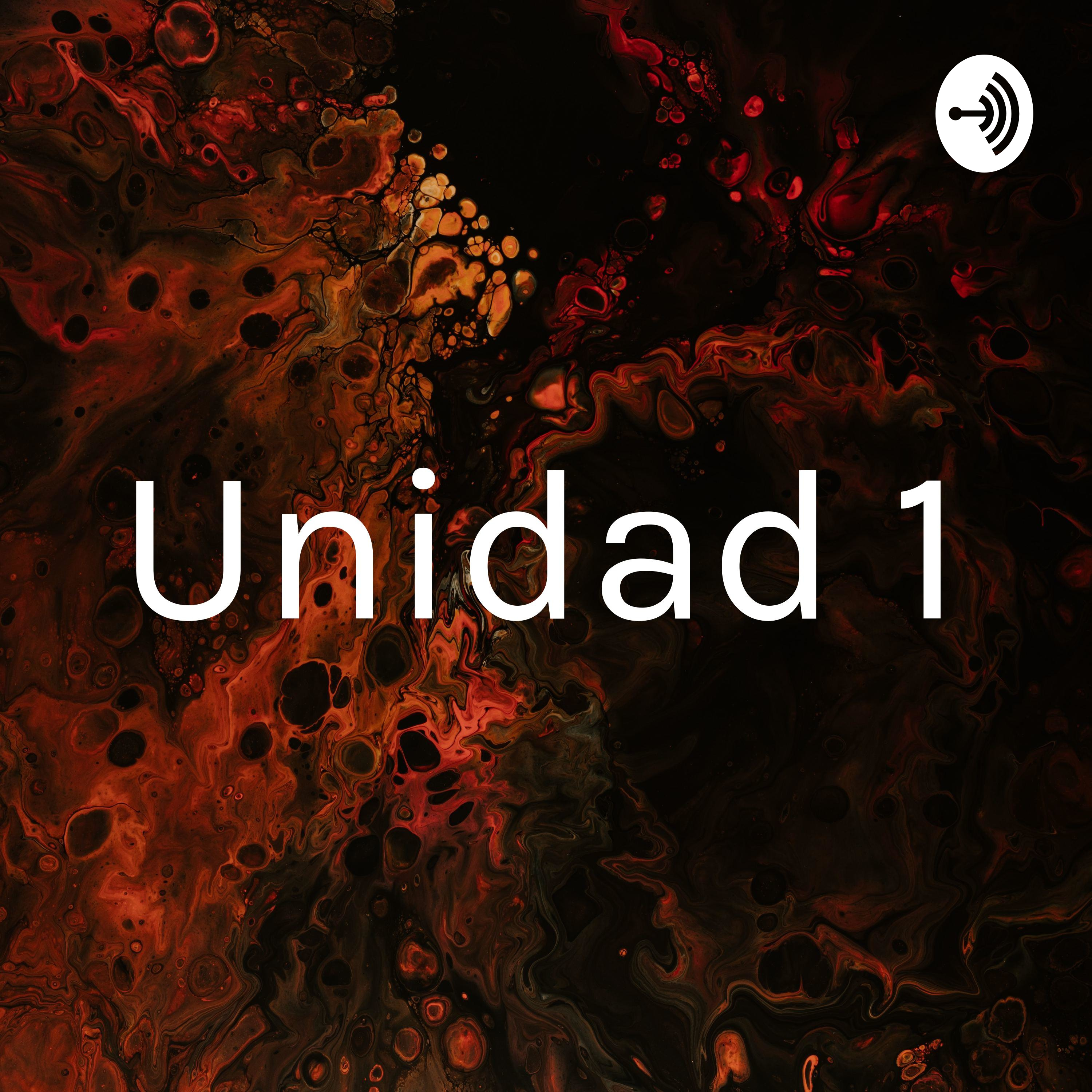 Unidad 1