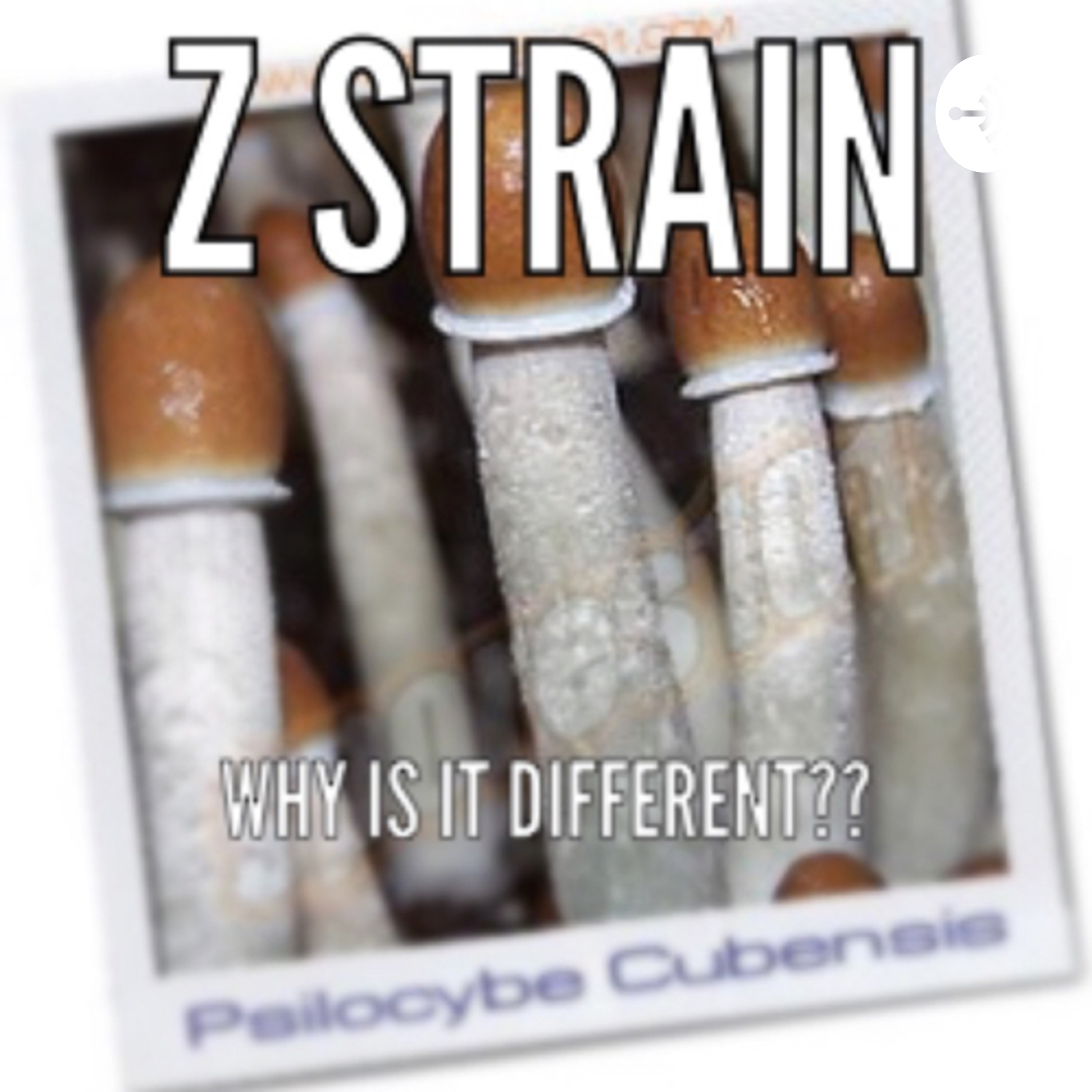 RC-ᔕYᑎTᗩ᙭OᑎOᗰY