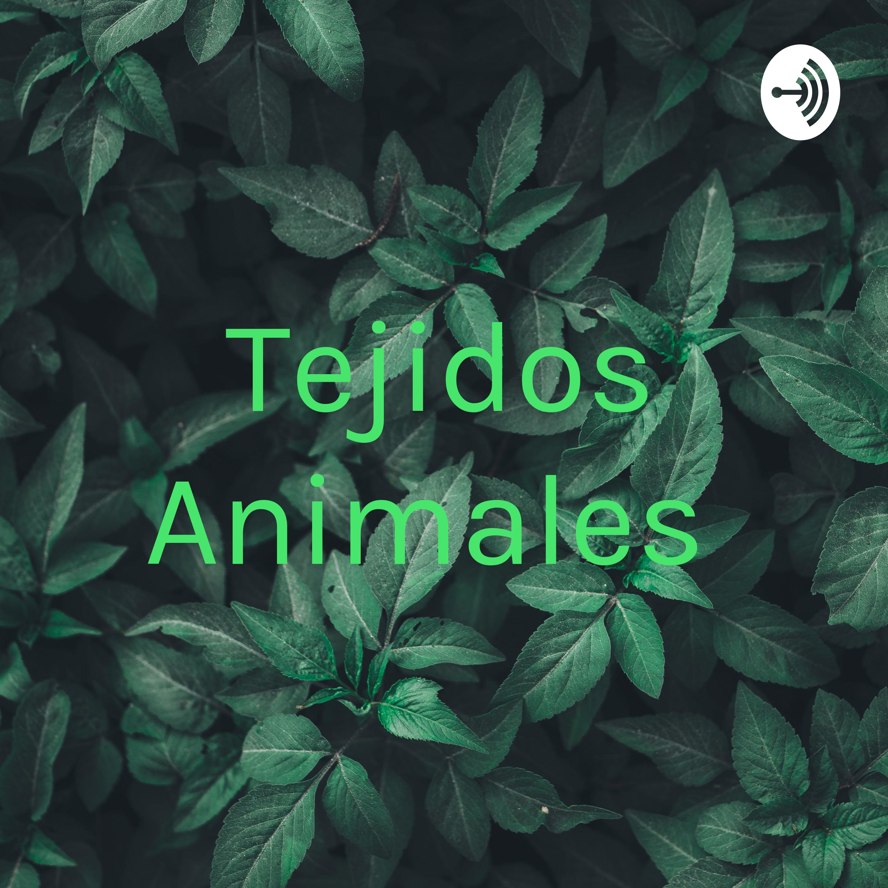 Tejidos Animales podcast artwork