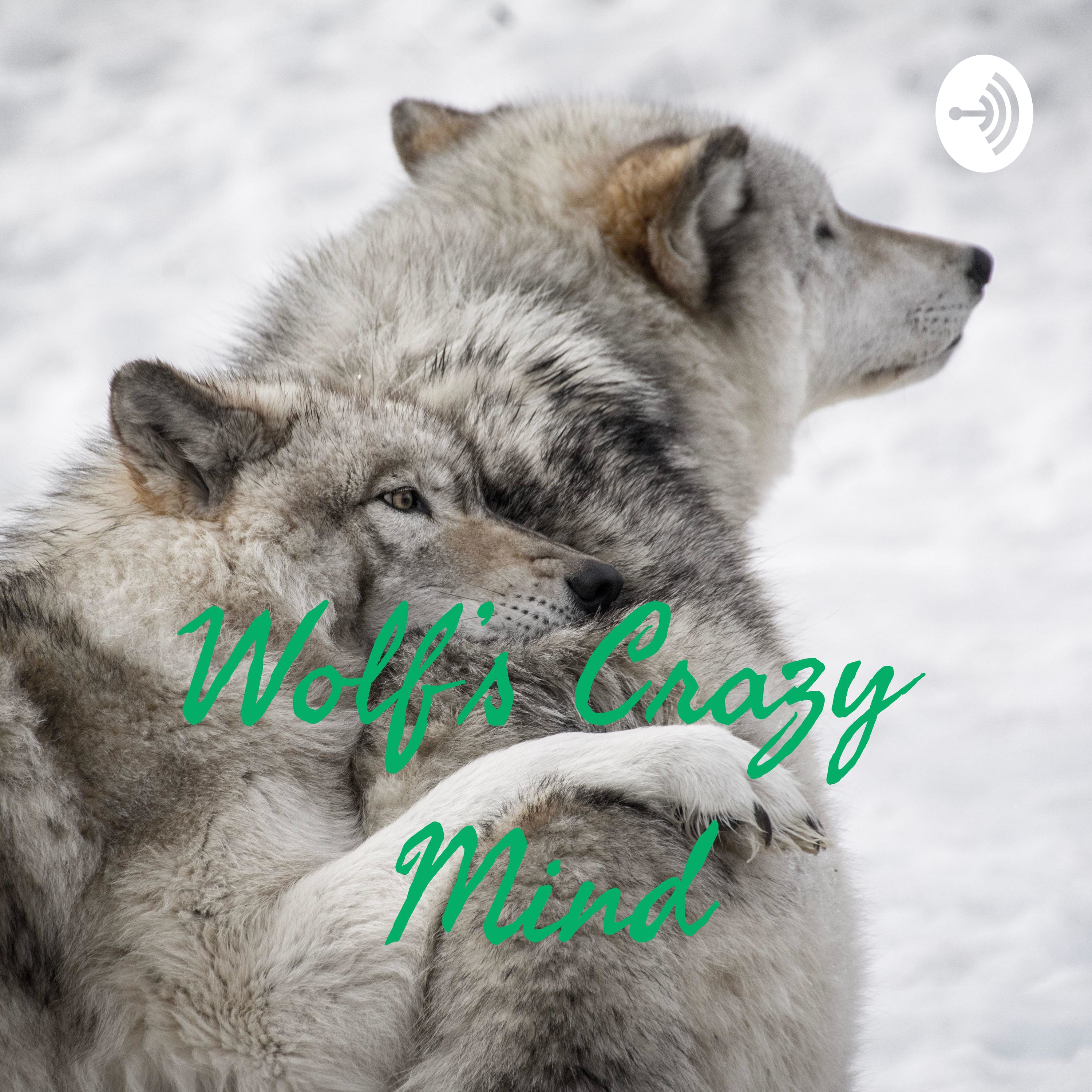 Wolf's Crazy Mind Wolf's Crazy Mind