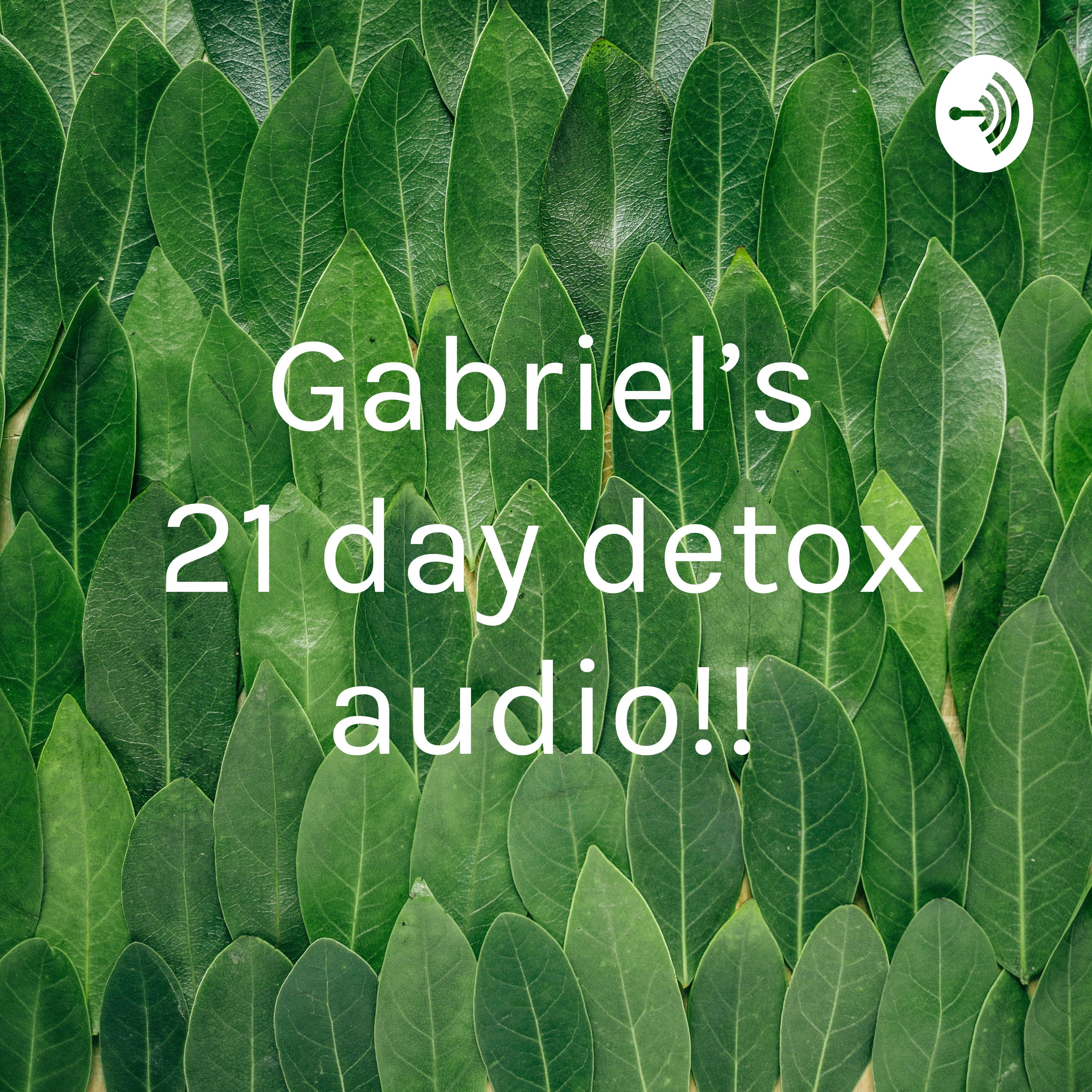 Gabriel’s 21 day detox audio!!