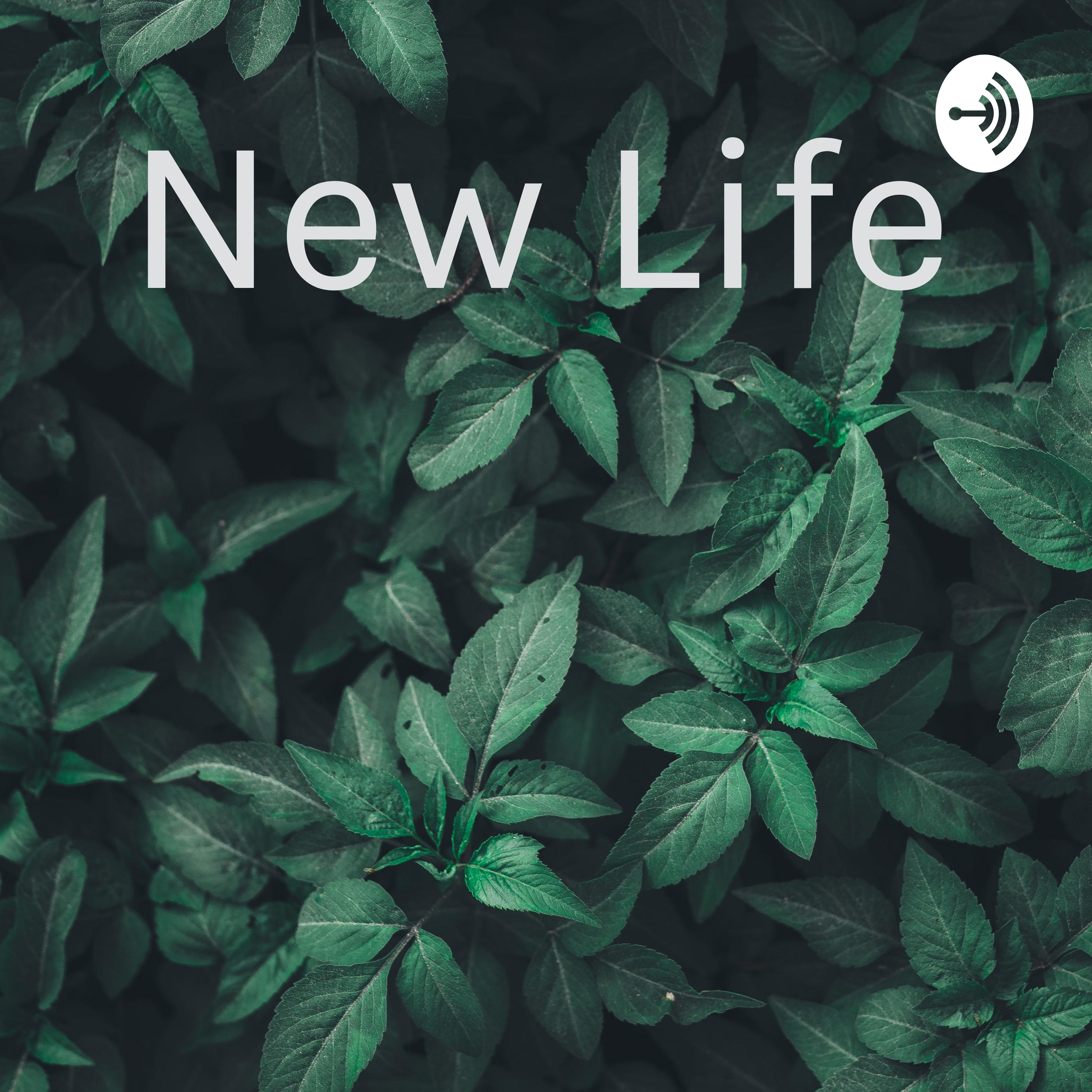 new life