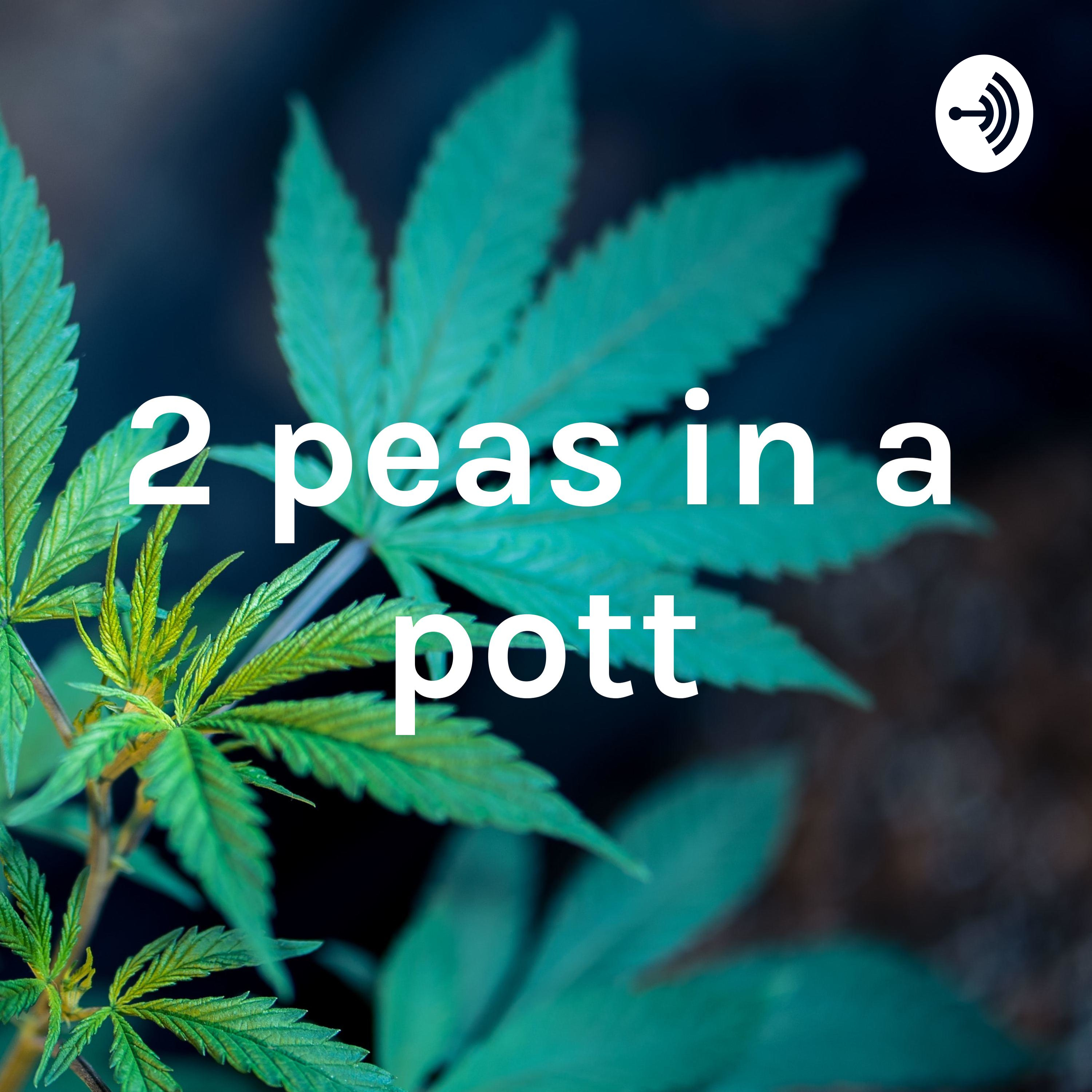 2 peas in a pott