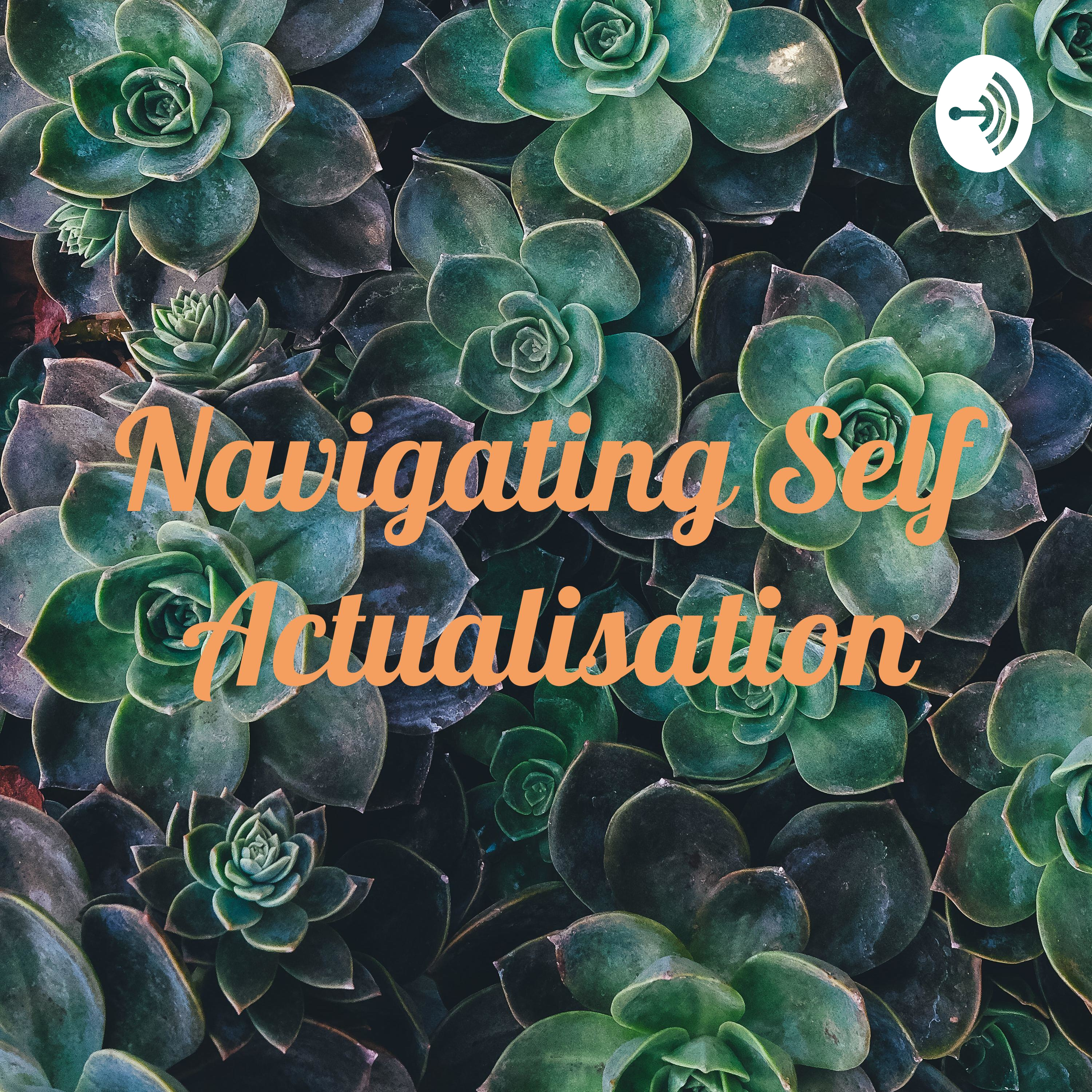 Podcast Navigating Self Actualisation