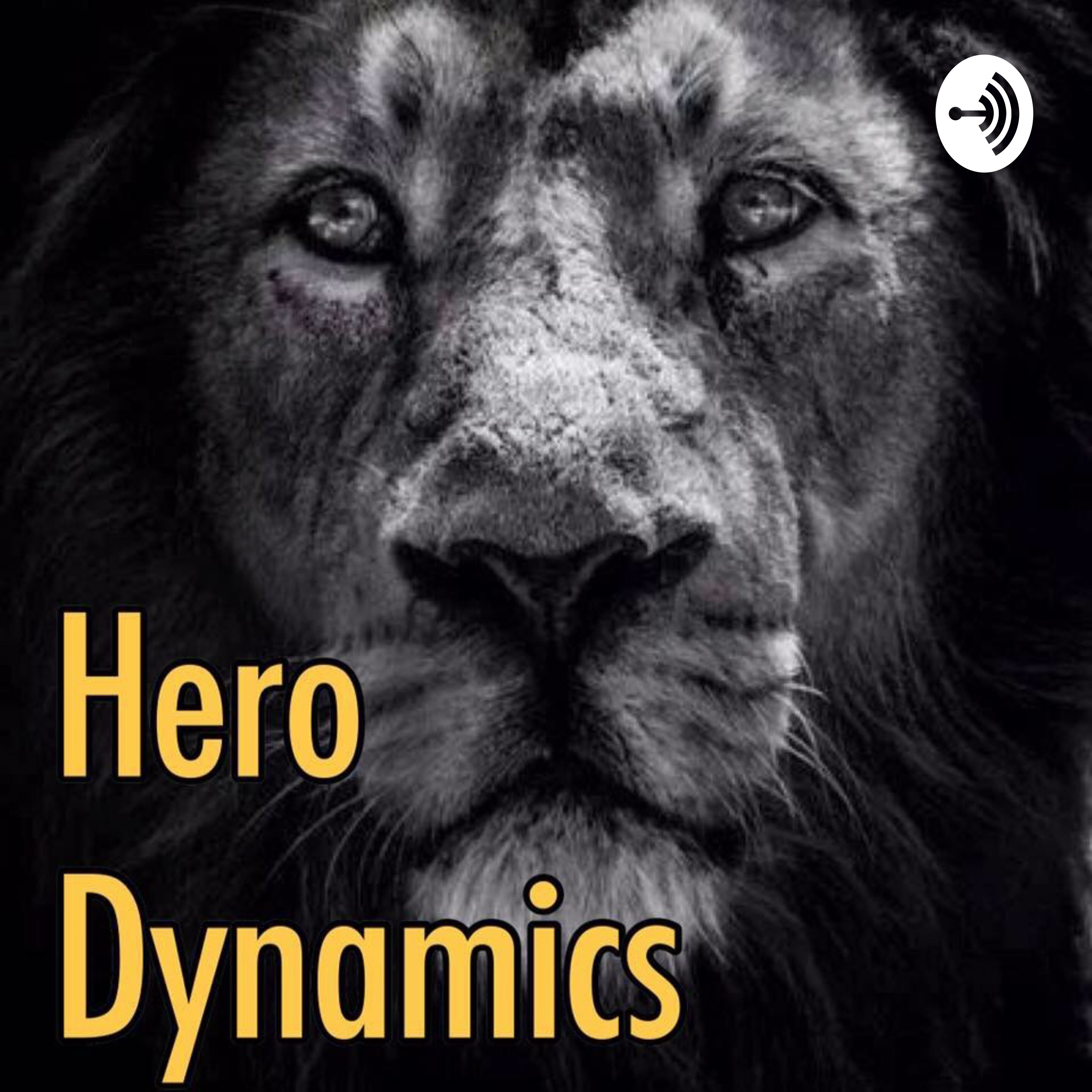 Hero Dynamics